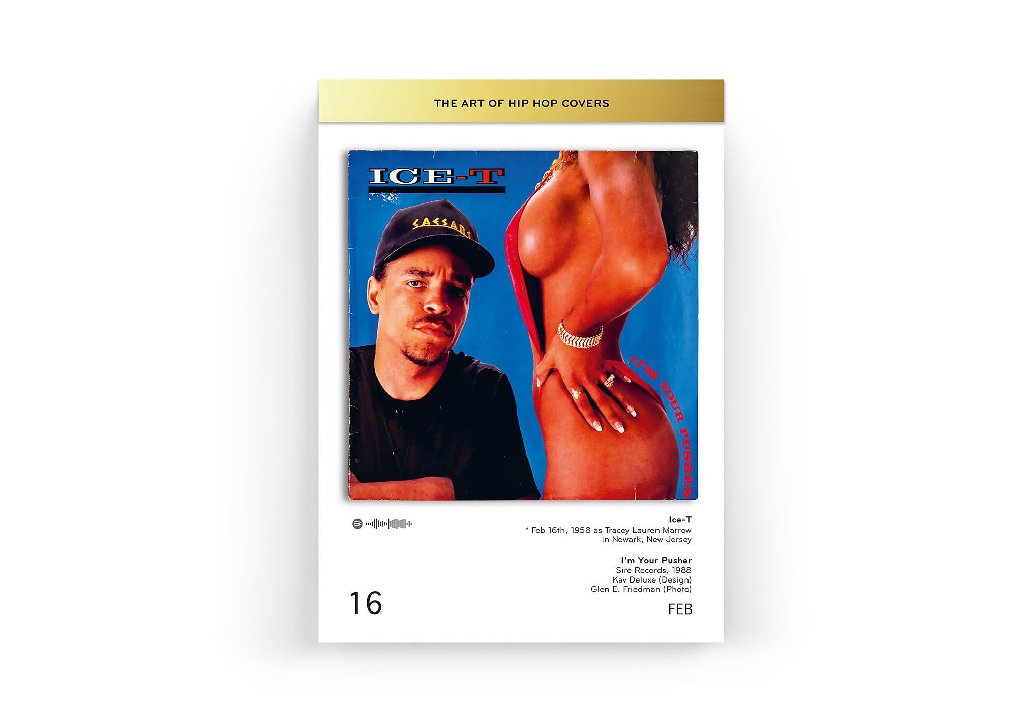 Beispielinhalt (Bild) The Art of Hip Hop Covers