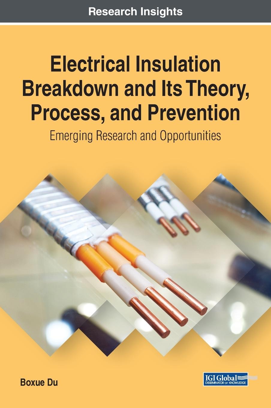 Vorderes Coverbild Electrical Insulation Breakdown and Its Theory, Process, and Prevention