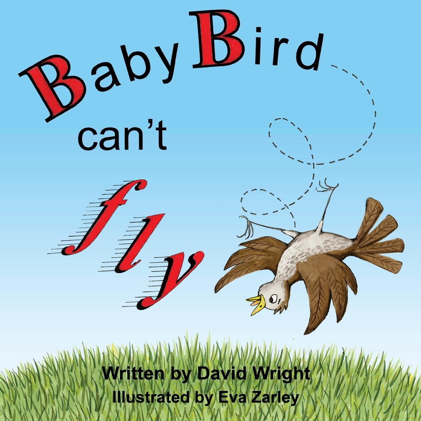 Vorderes Coverbild Baby Bird Can't Fly