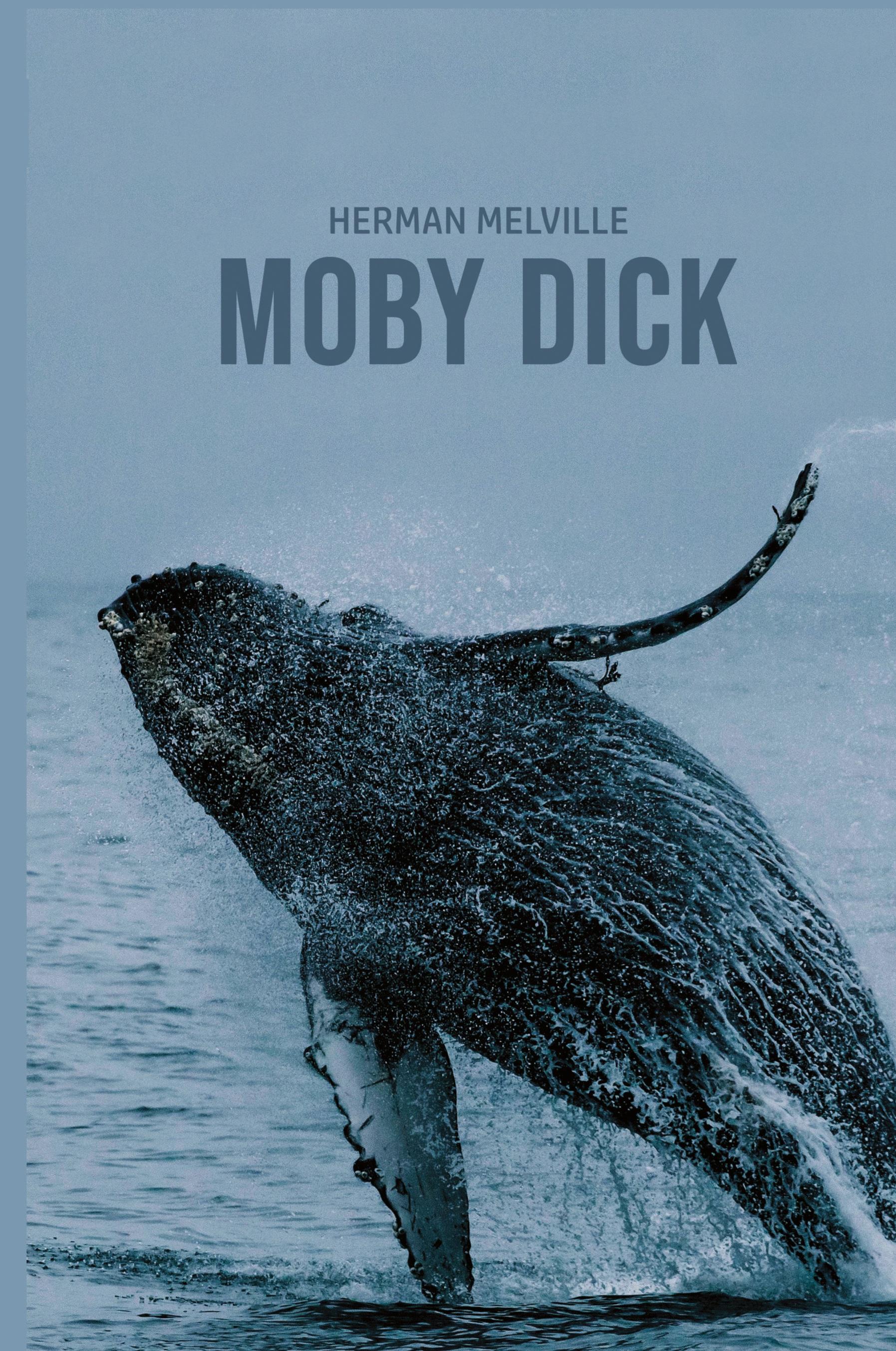 Vorderes Coverbild Moby Dick