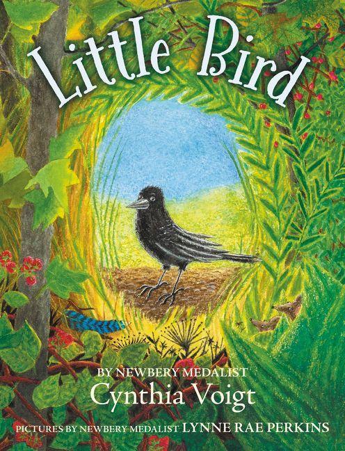 Vorderes Coverbild Little Bird