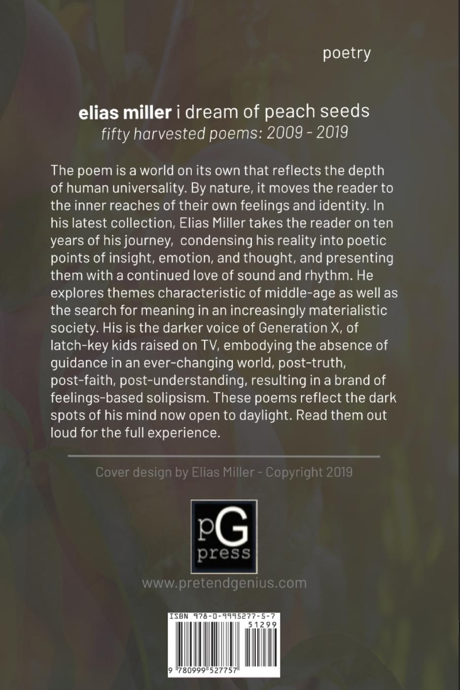 Rückseitencover i dream of peach seeds