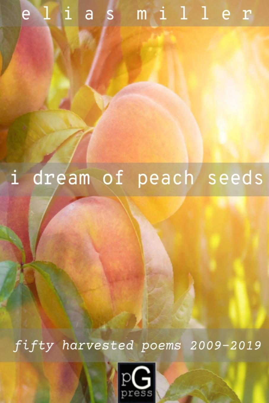 Vorderes Coverbild i dream of peach seeds
