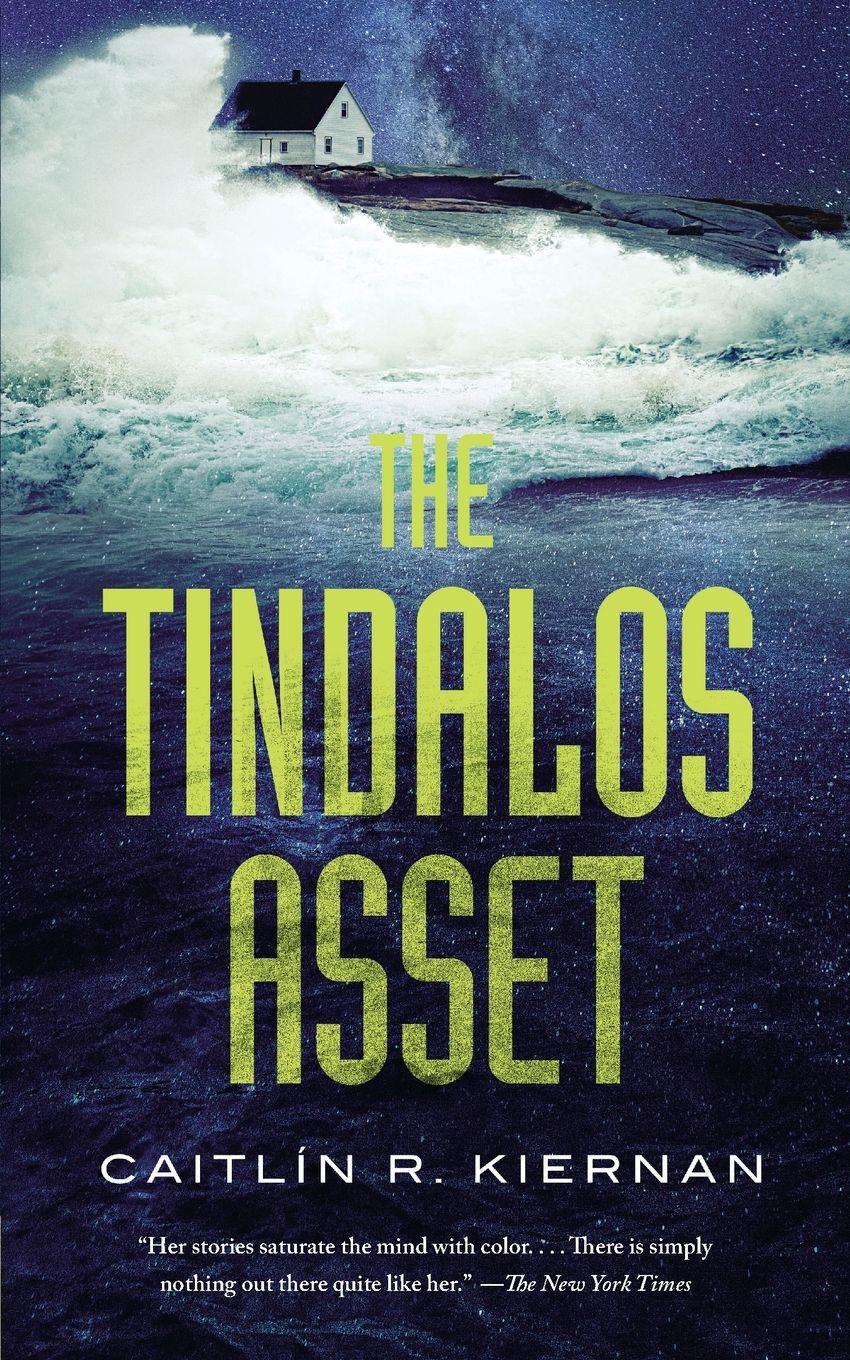 Vorderes Coverbild Tindalos Asset