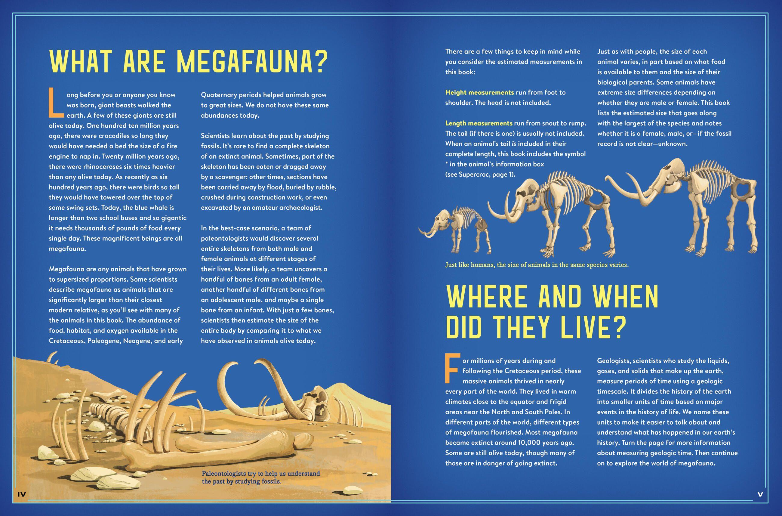 Beispielinhalt (Bild) Meet the Megafauna!