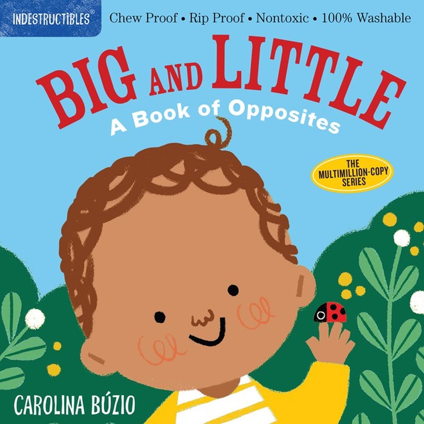 Vorderes Coverbild Indestructibles: Big and Little: A Book of Opposites