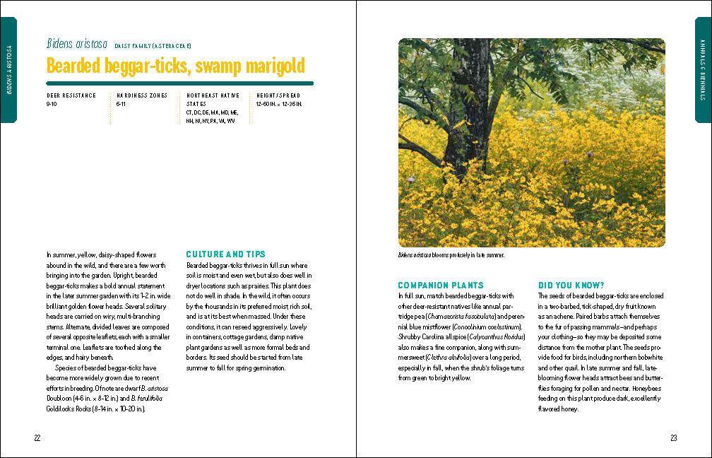 Beispielinhalt (Bild) Deer-Resistant Native Plants for the Northeast