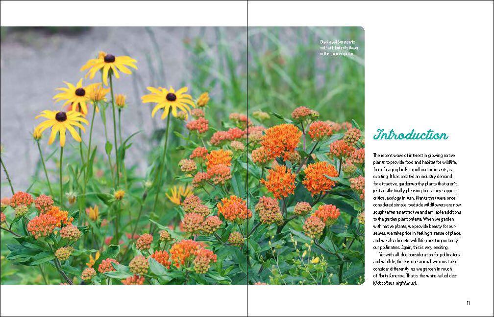 Beispielinhalt (Bild) Deer-Resistant Native Plants for the Northeast