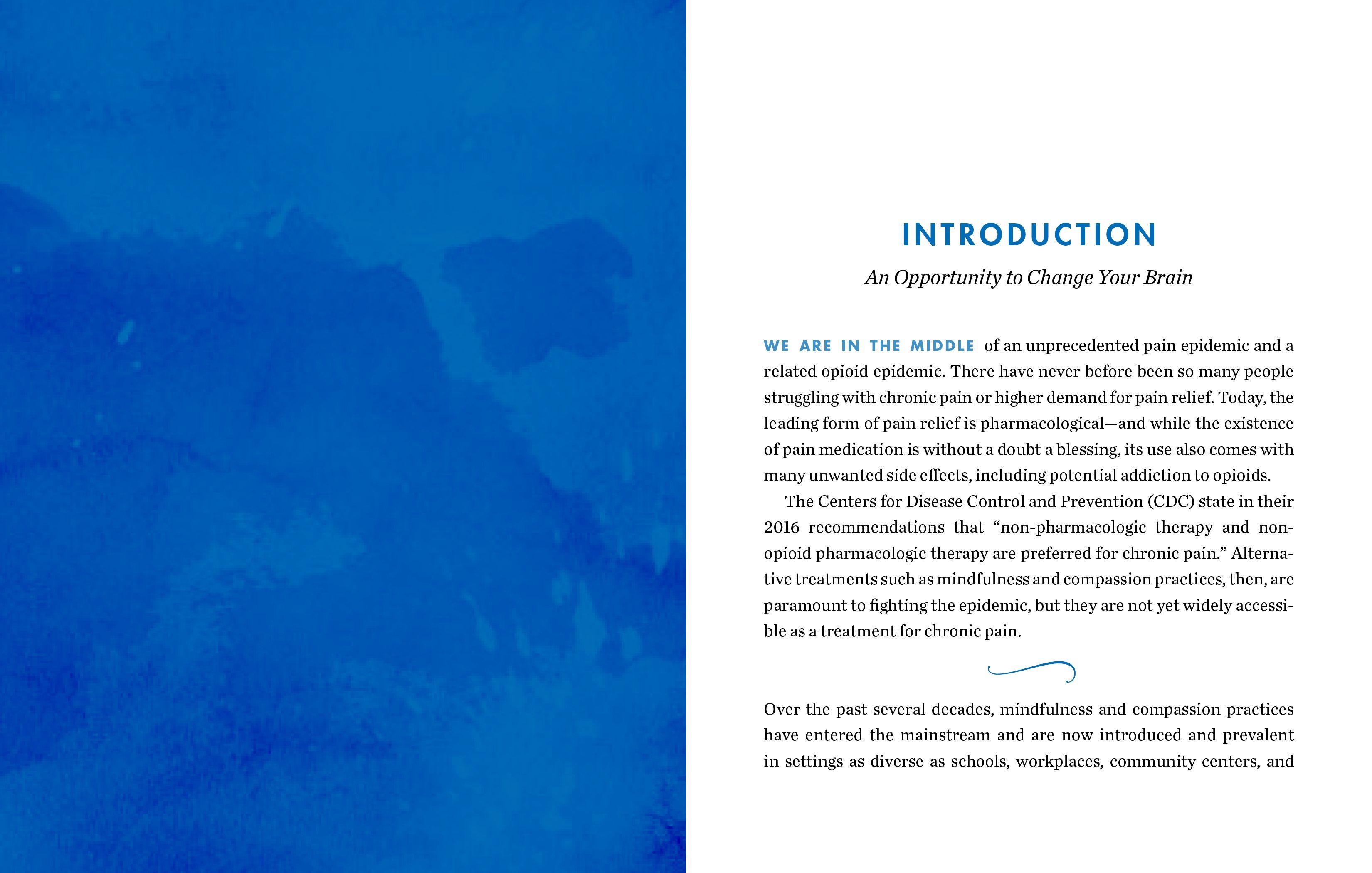 Beispielinhalt (Bild) Outsmart Your Pain