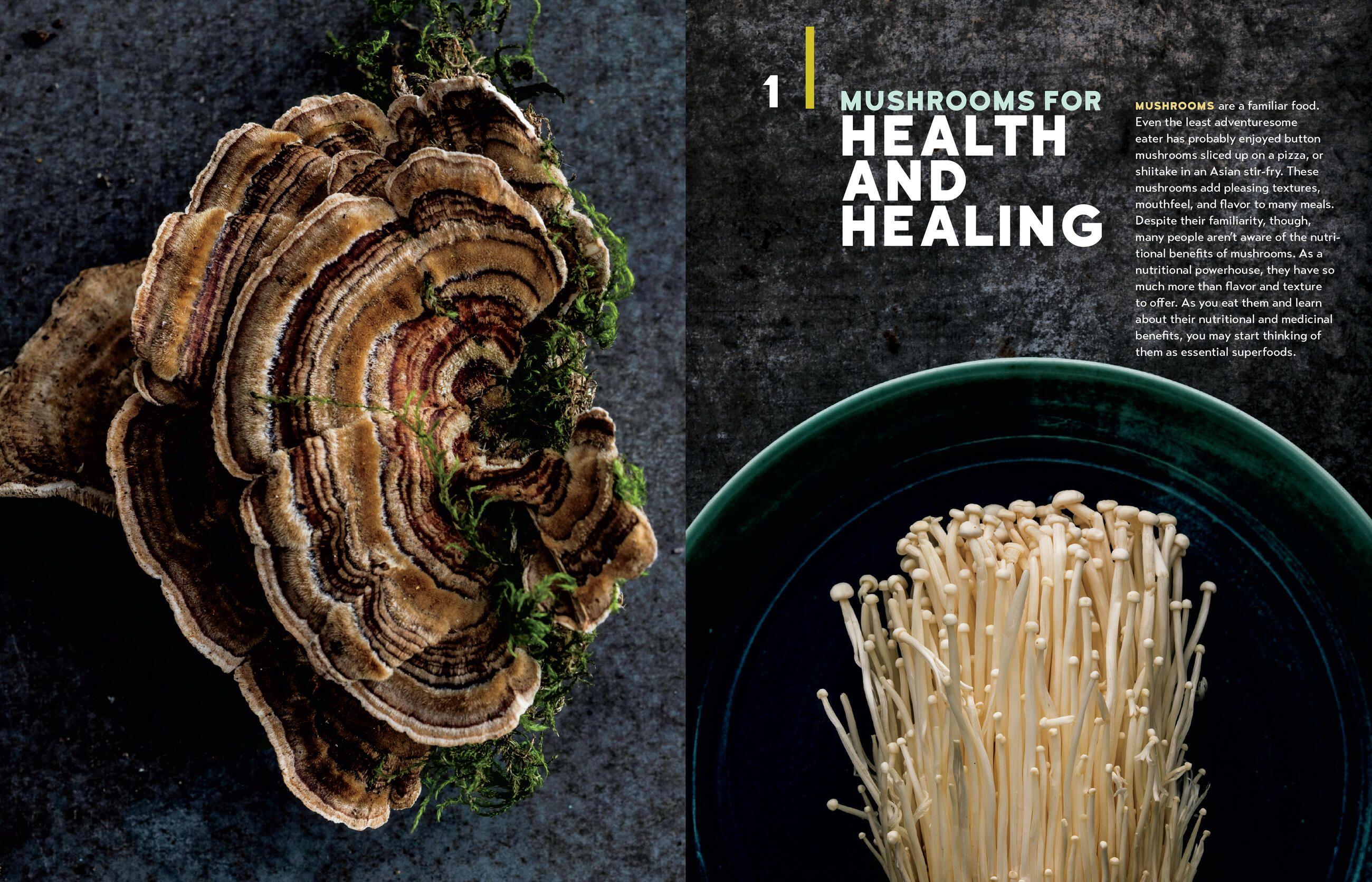 Beispielinhalt (Bild) Christopher Hobbs's Medicinal Mushrooms: The Essential Guide