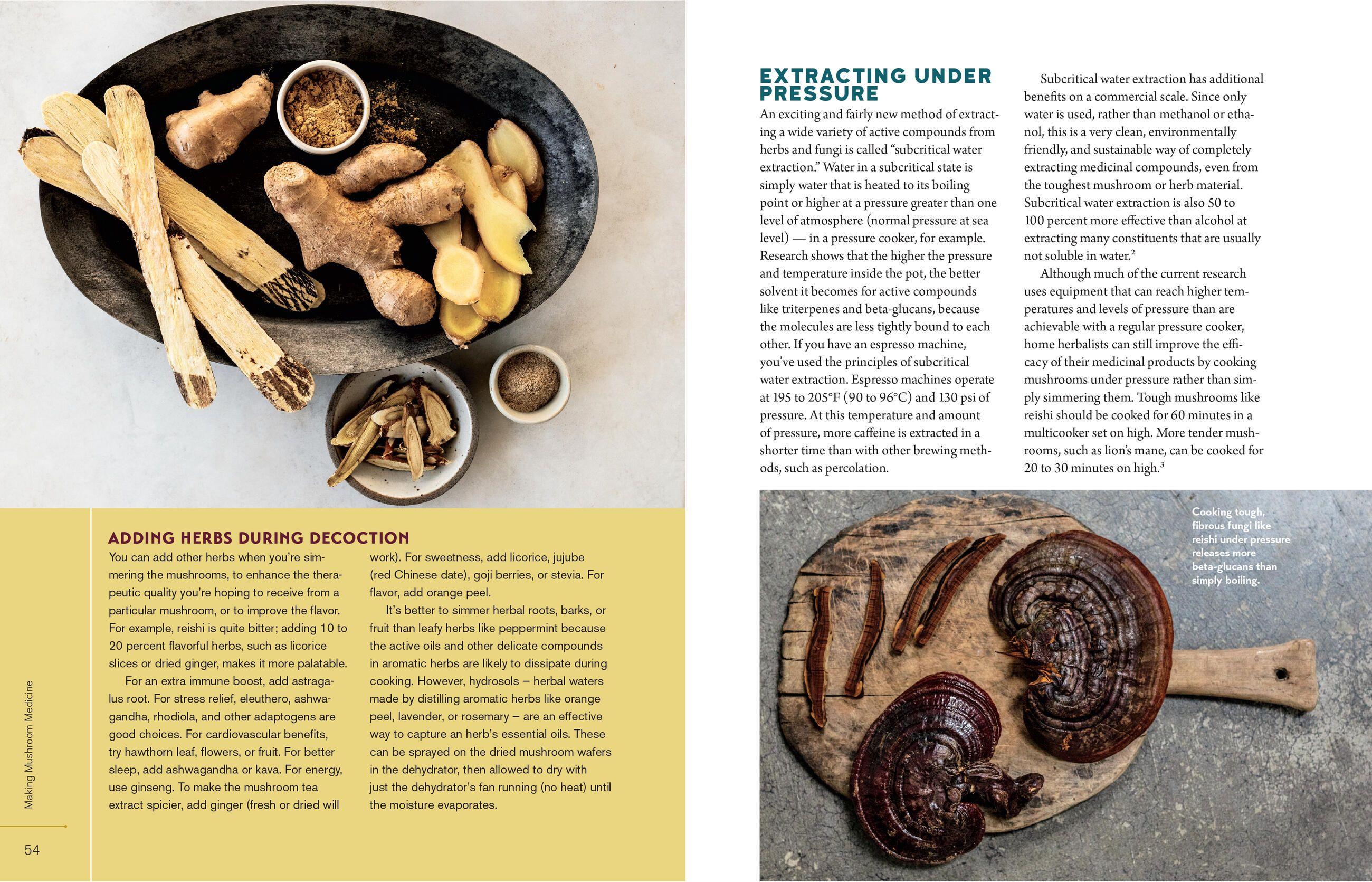 Beispielinhalt (Bild) Christopher Hobbs's Medicinal Mushrooms: The Essential Guide