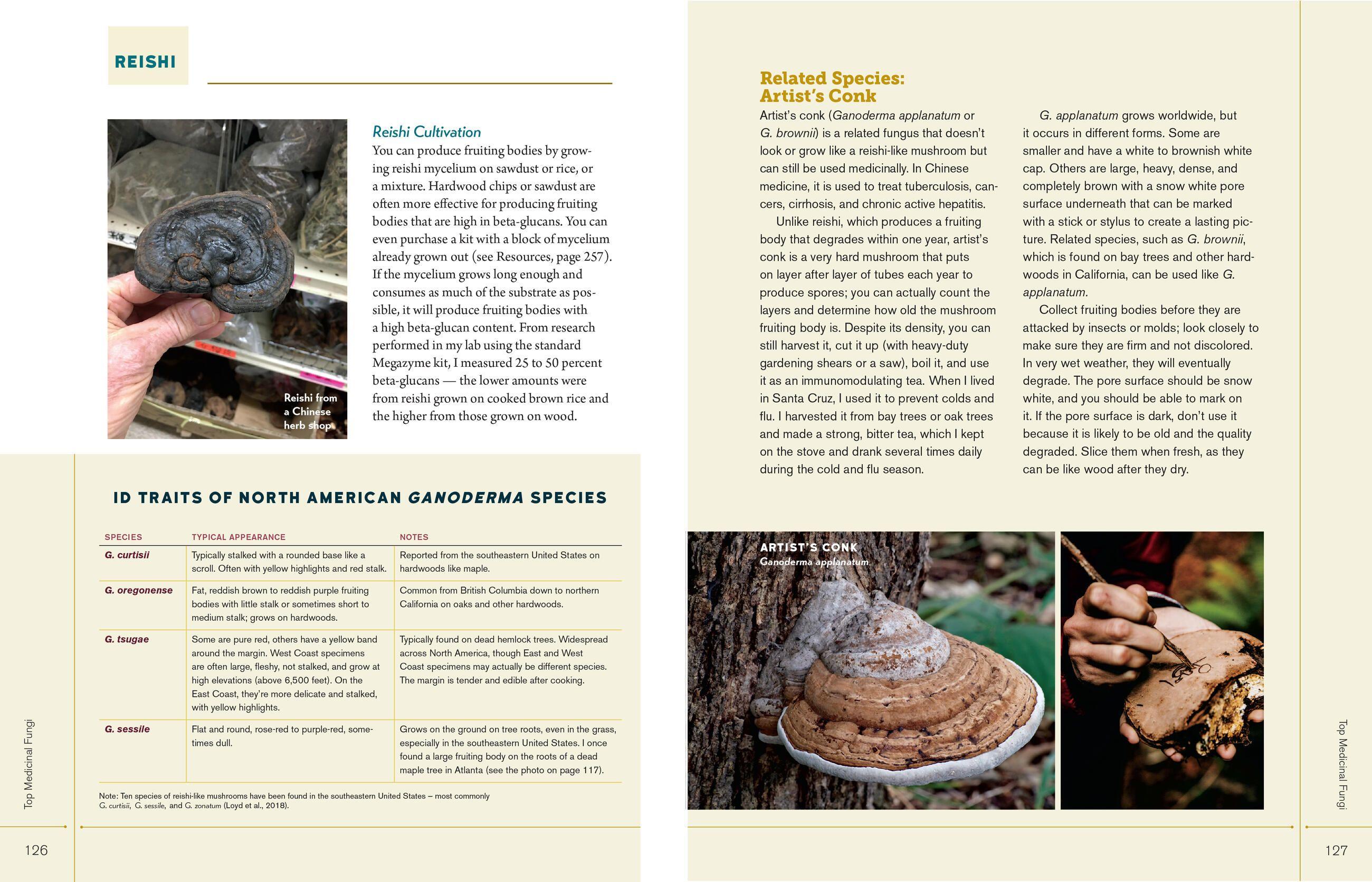 Beispielinhalt (Bild) Christopher Hobbs's Medicinal Mushrooms: The Essential Guide