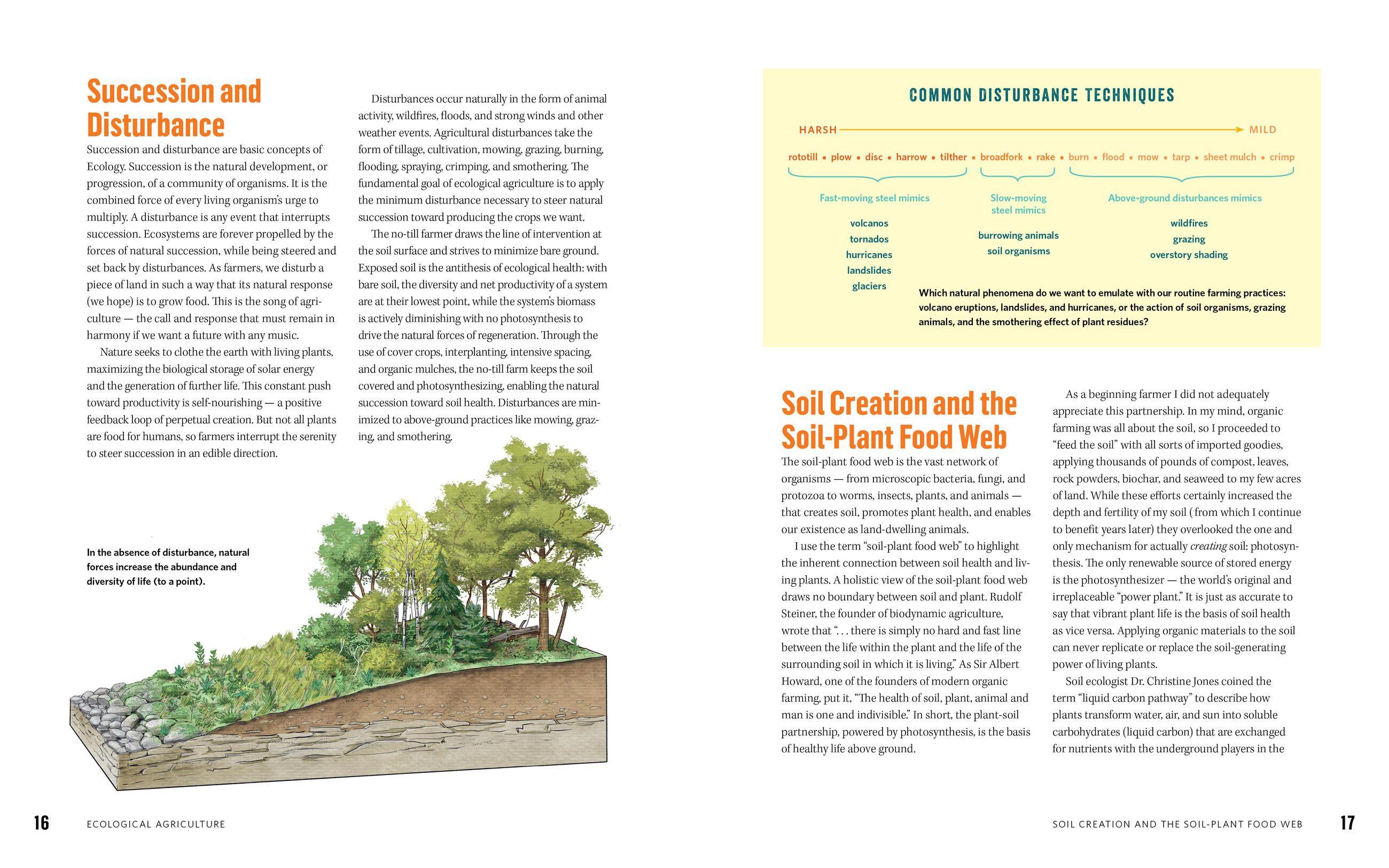 Beispielinhalt (Bild) The No-Till Organic Vegetable Farm