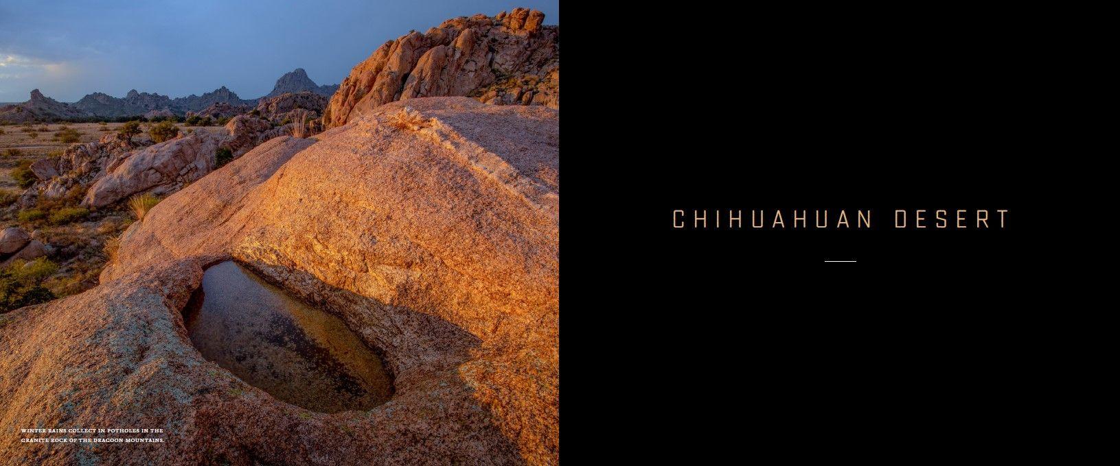 Beispielinhalt (Bild) Arizona