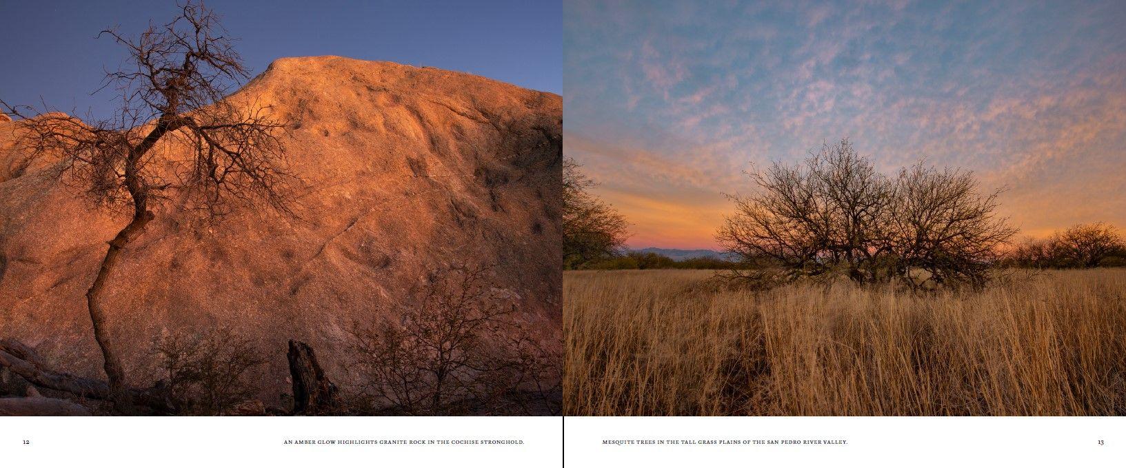 Beispielinhalt (Bild) Arizona