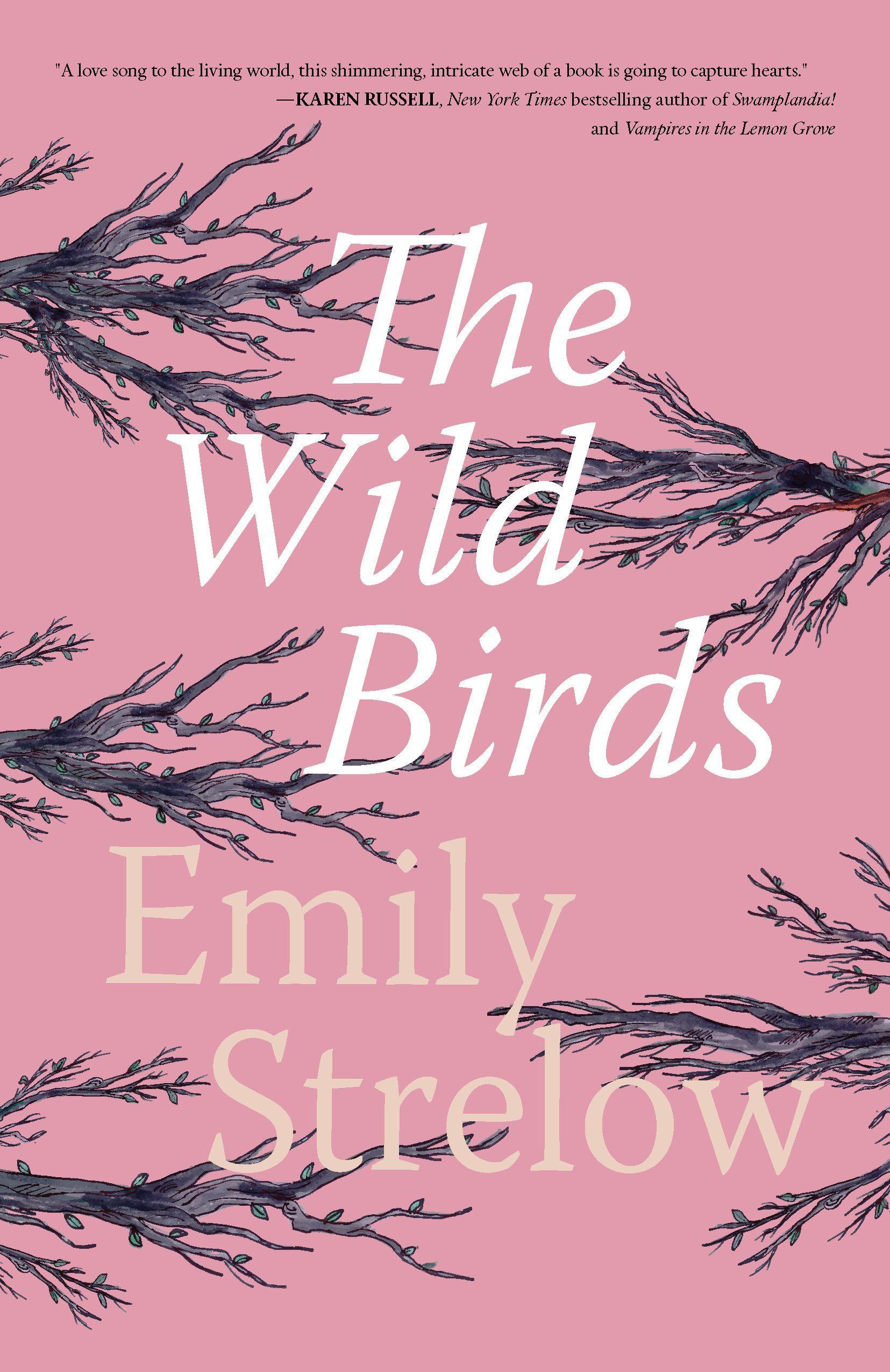 Vorderes Coverbild The Wild Birds