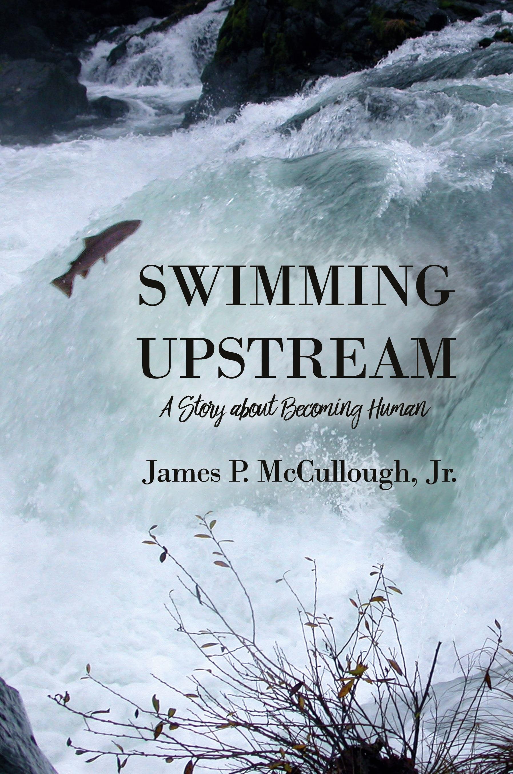 Vorderes Coverbild Swimming Upstream