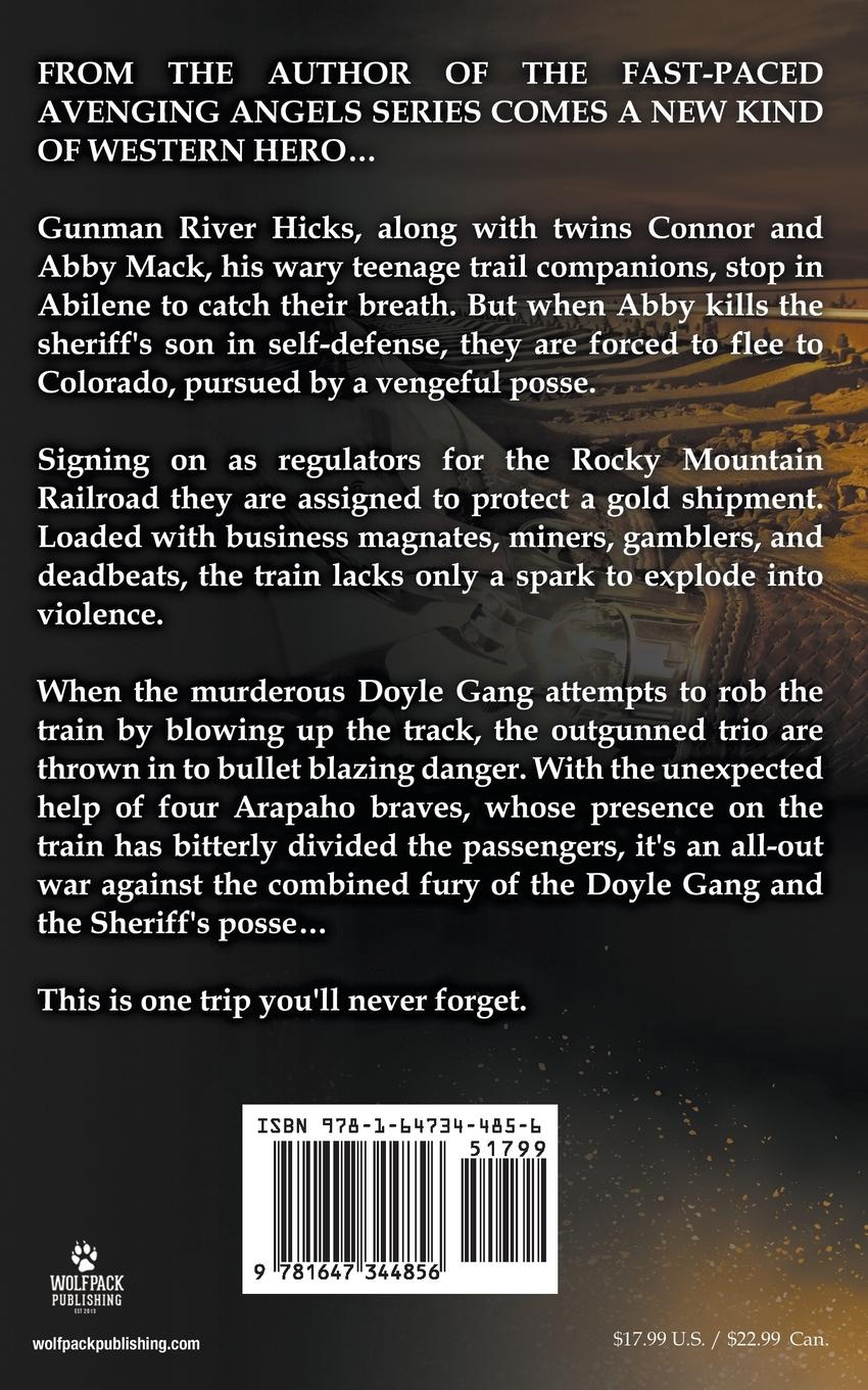 Rückseitencover Gunslinger