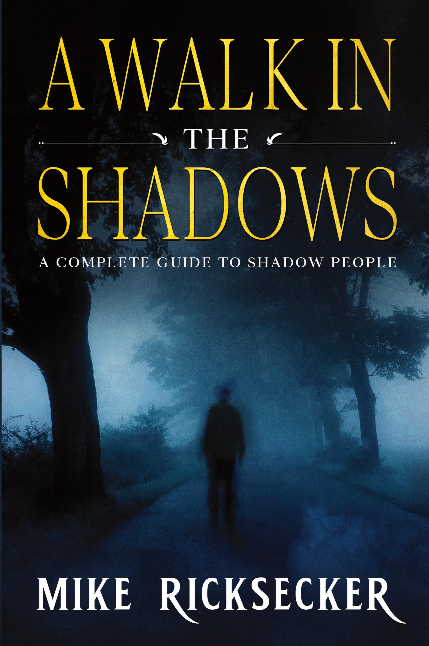 Vorderes Coverbild A Walk In The Shadows