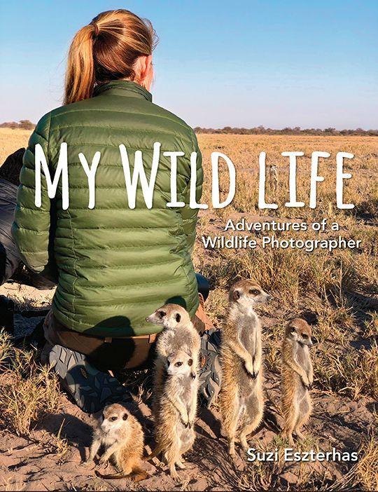 Vorderes Coverbild My Wild Life