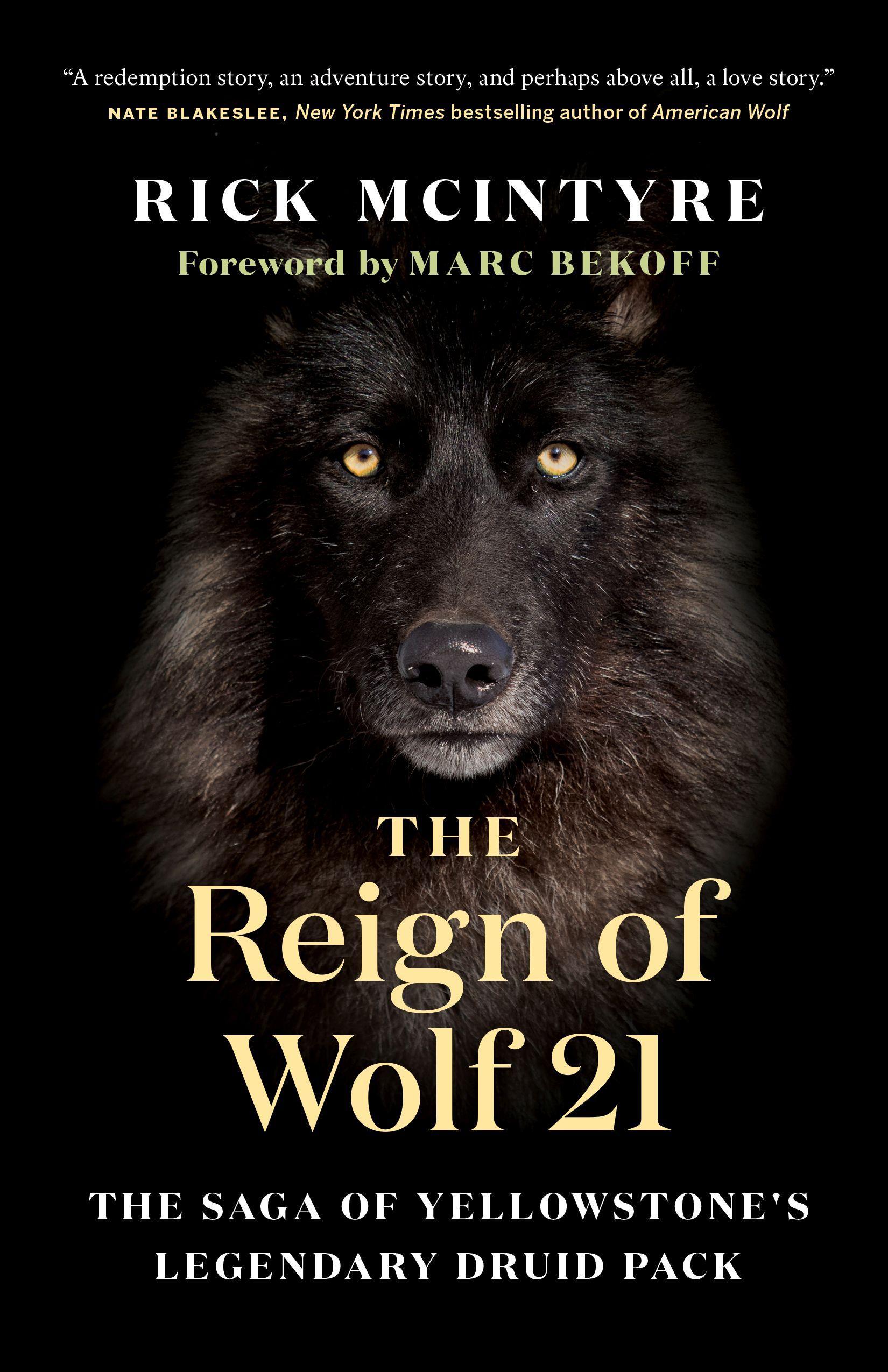 Vorderes Coverbild The Reign of Wolf 21