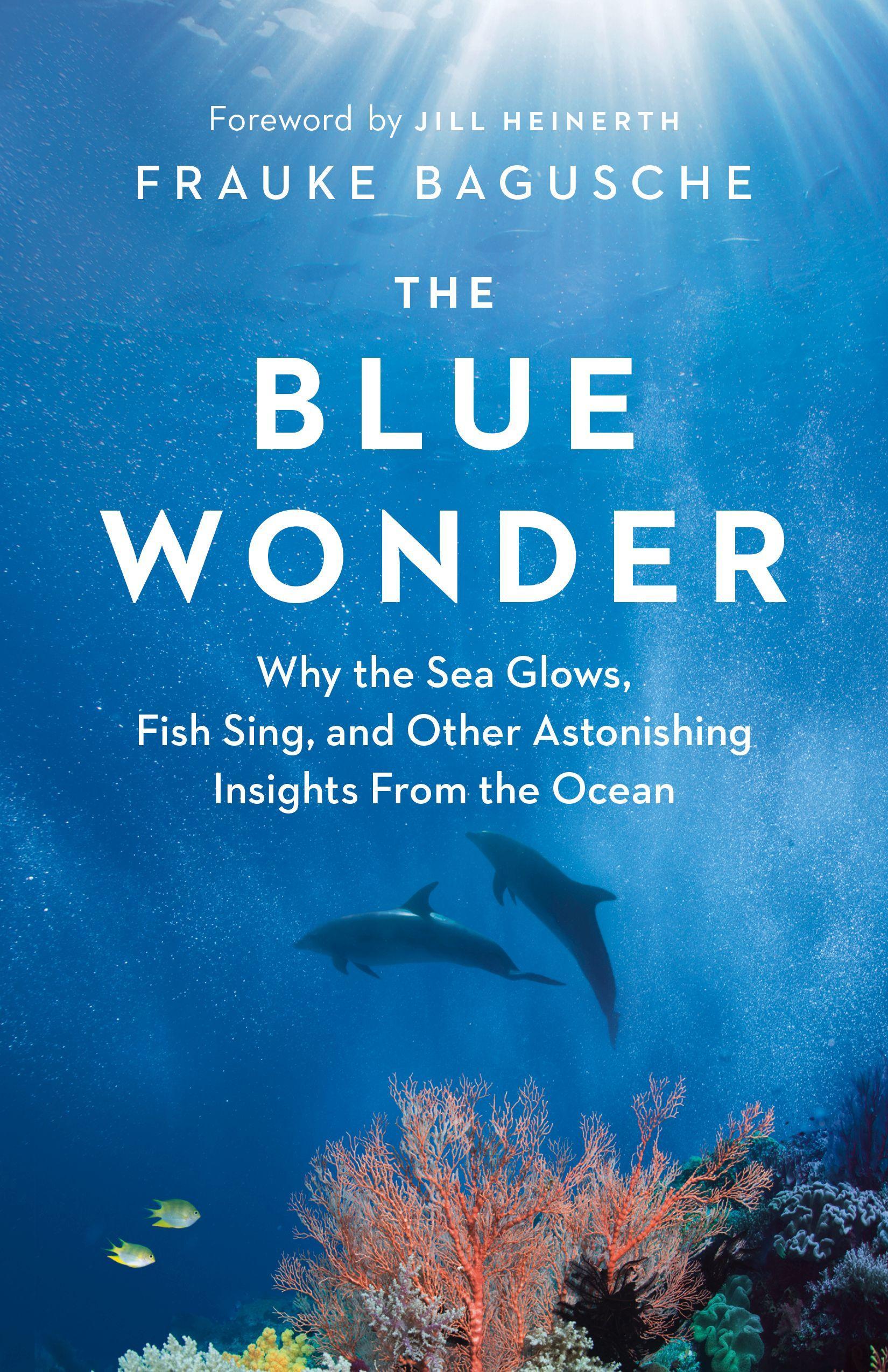 Vorderes Coverbild The Blue Wonder