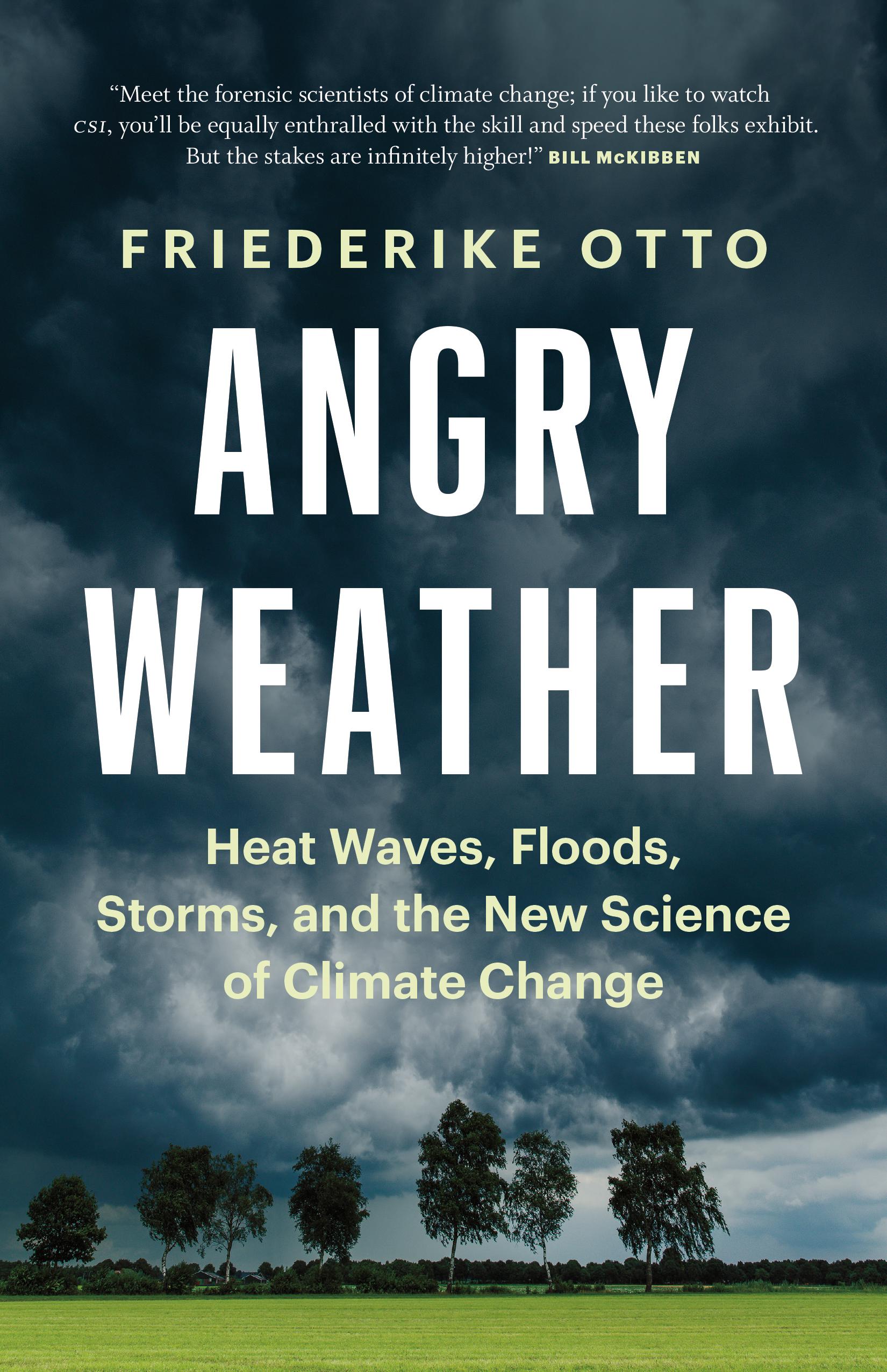 Beispielinhalt (Bild) Angry Weather