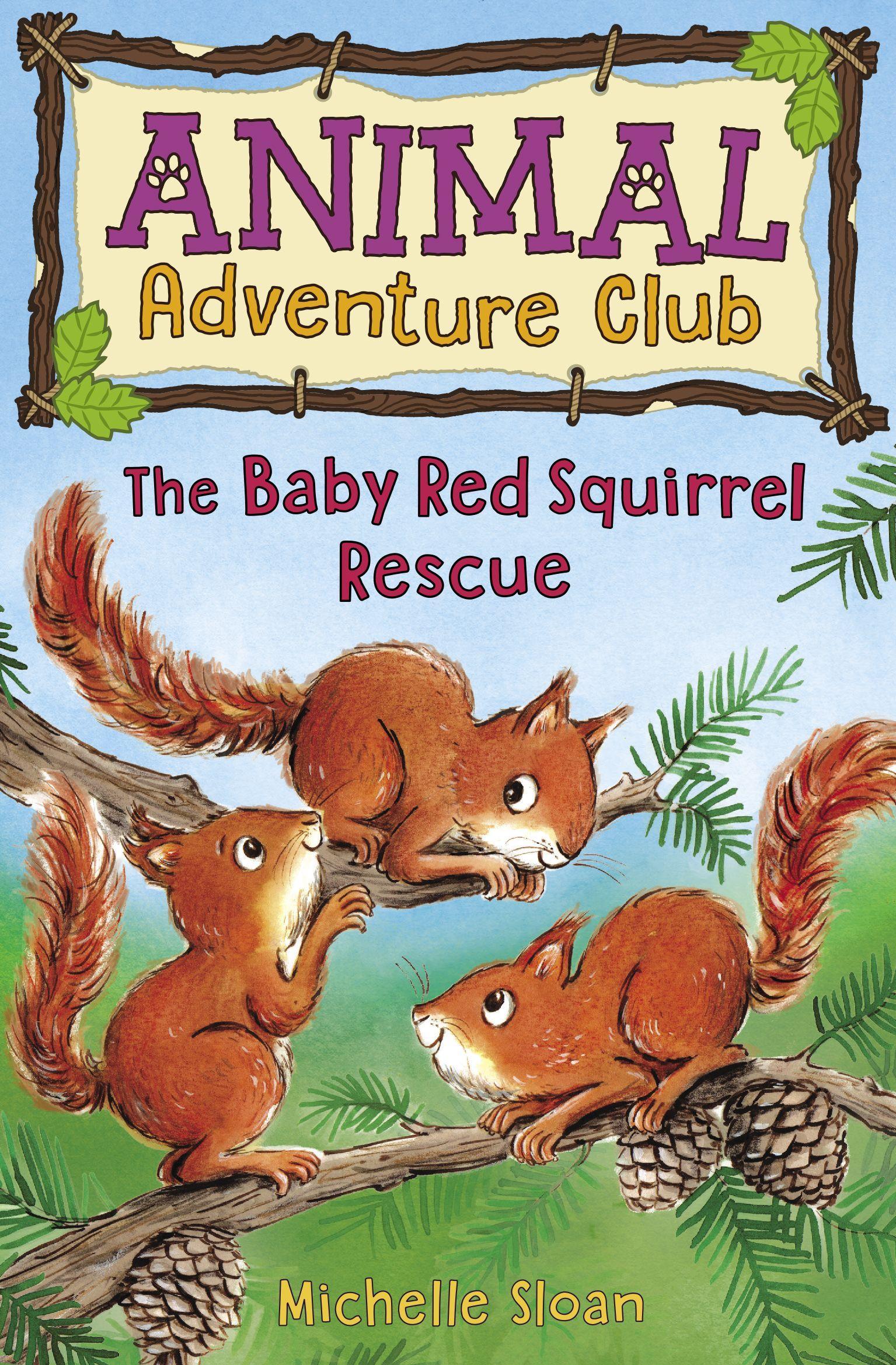 Vorderes Coverbild The Baby Red Squirrel Rescue (Animal Adventure Club 3)