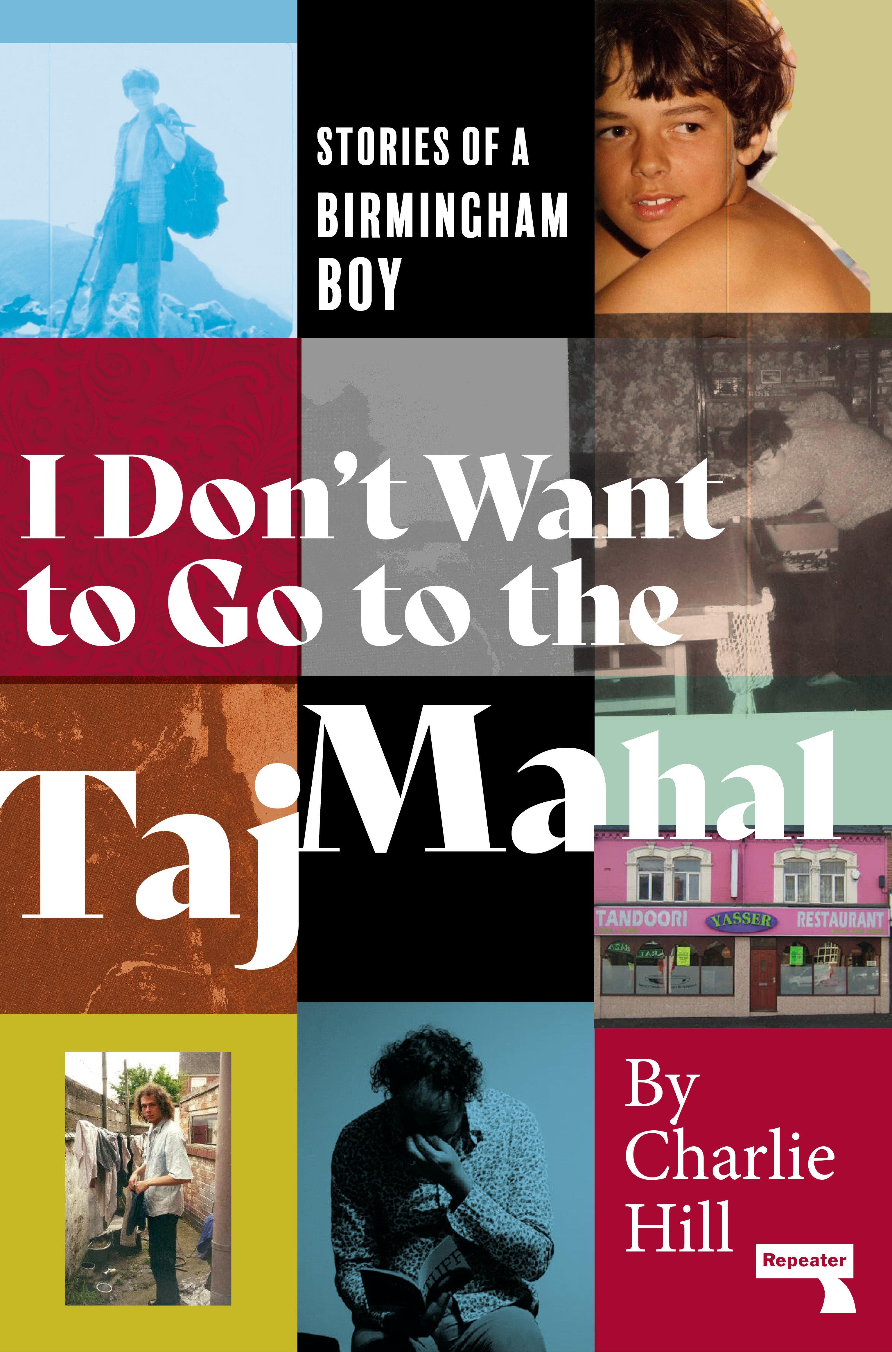 Vorderes Coverbild I Don't Want to Go to the Taj Mahal