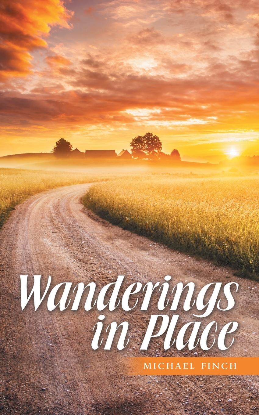 Vorderes Coverbild Wanderings in Place