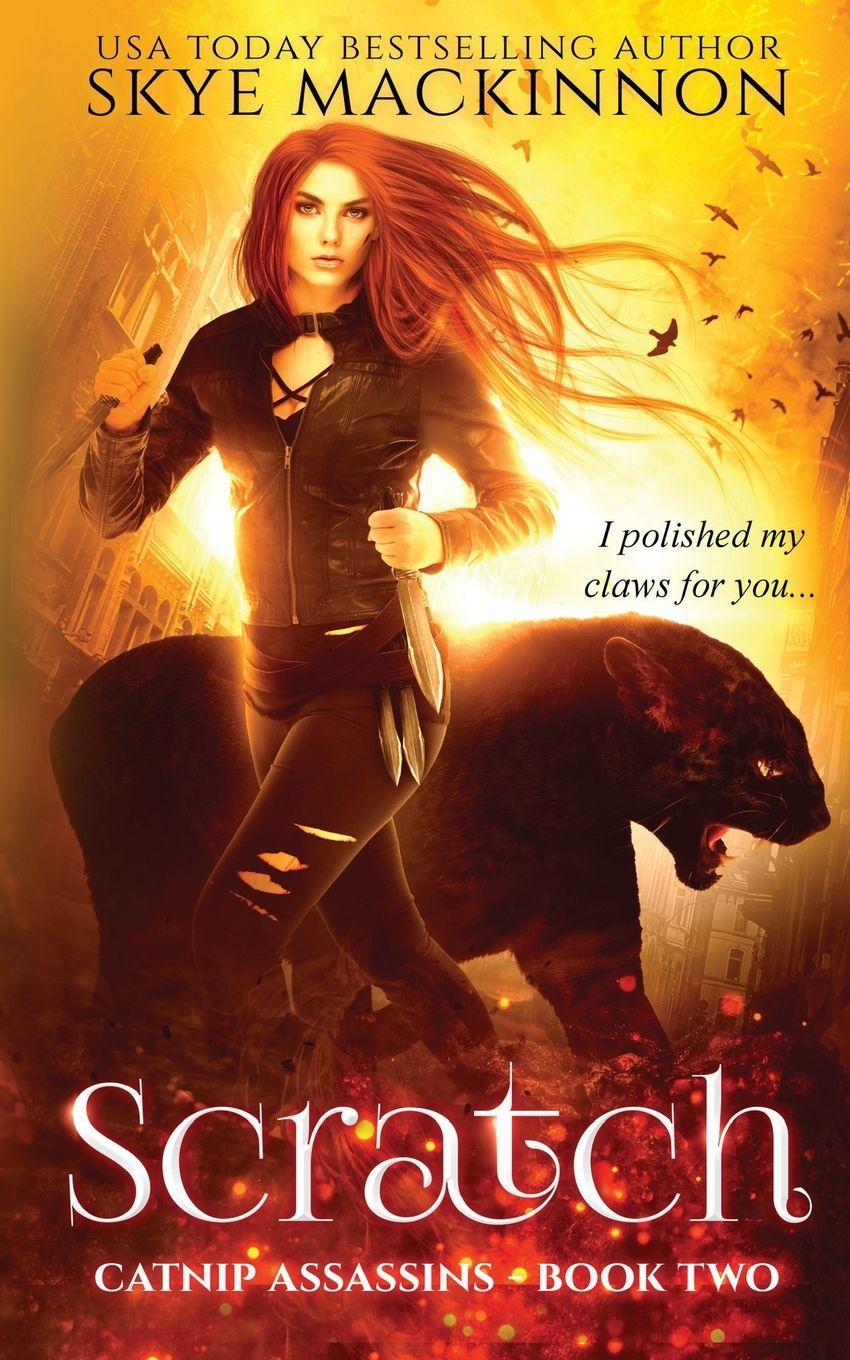 Vorderes Coverbild Scratch