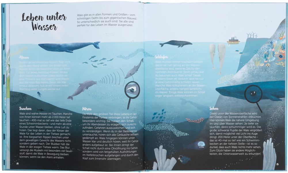 Beispielinhalt (Bild) Die Welt der Wale