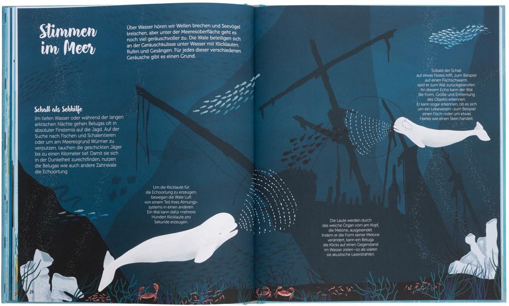 Beispielinhalt (Bild) Die Welt der Wale
