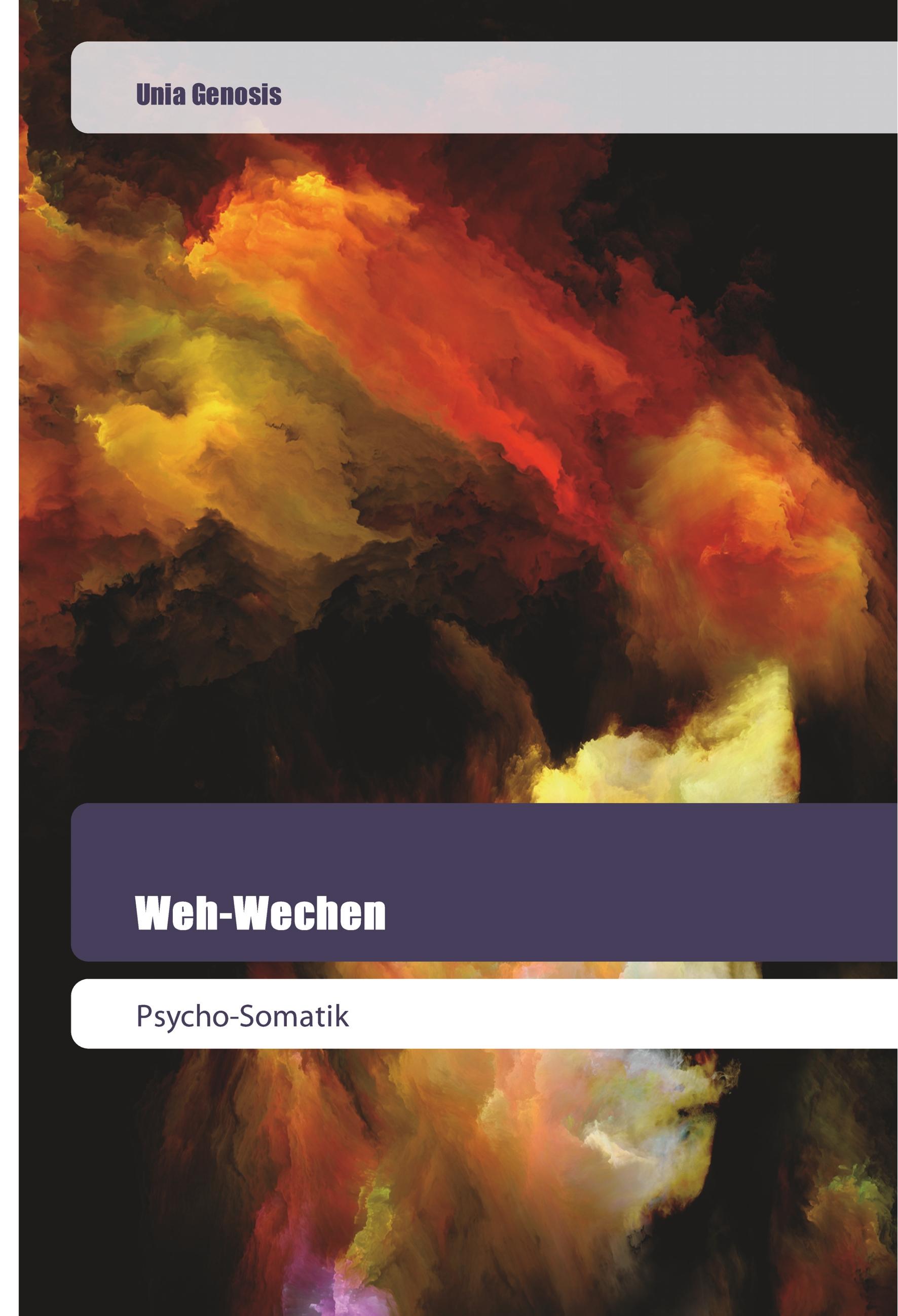 Vorderes Coverbild Weh-Wechen