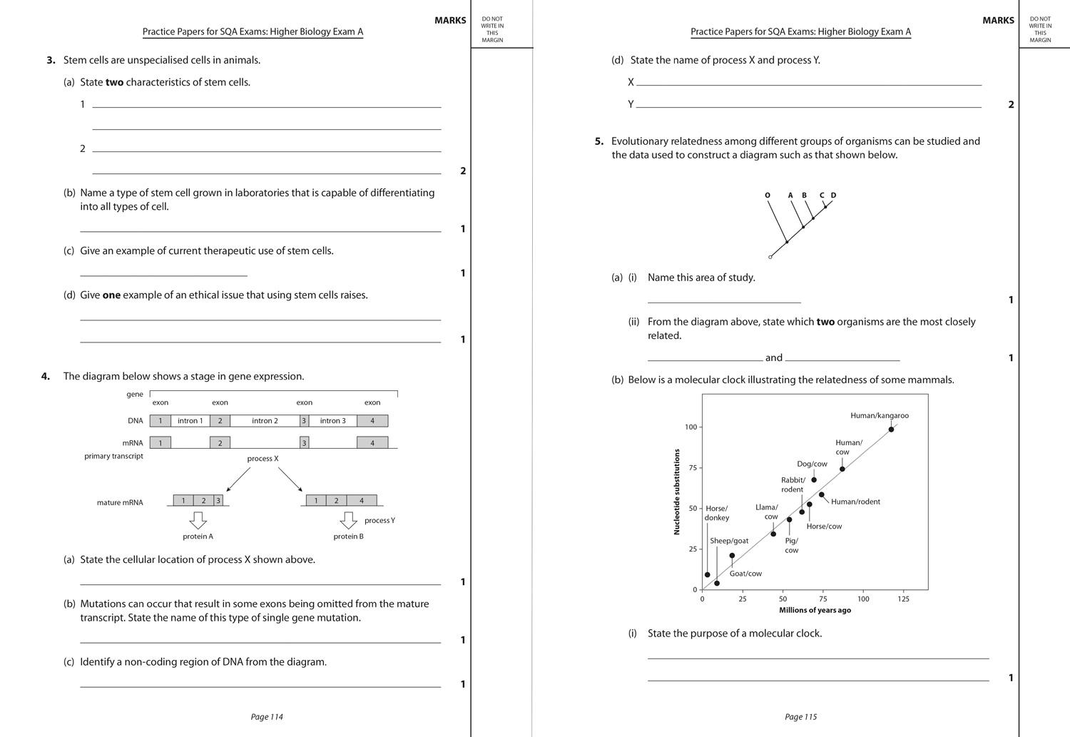 Beispielinhalt (Bild) Complete Revision and Practice Sqa Exams - Higher Biology Complete Revision and Practice