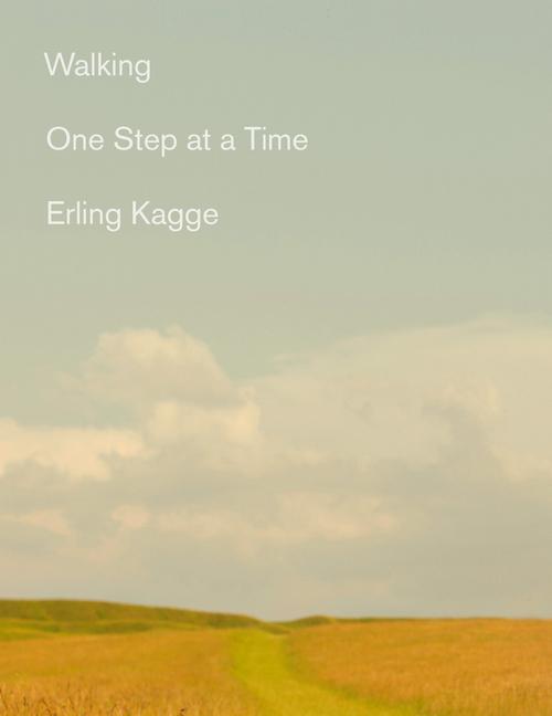 Vorderes Coverbild Walking: One Step at a Time