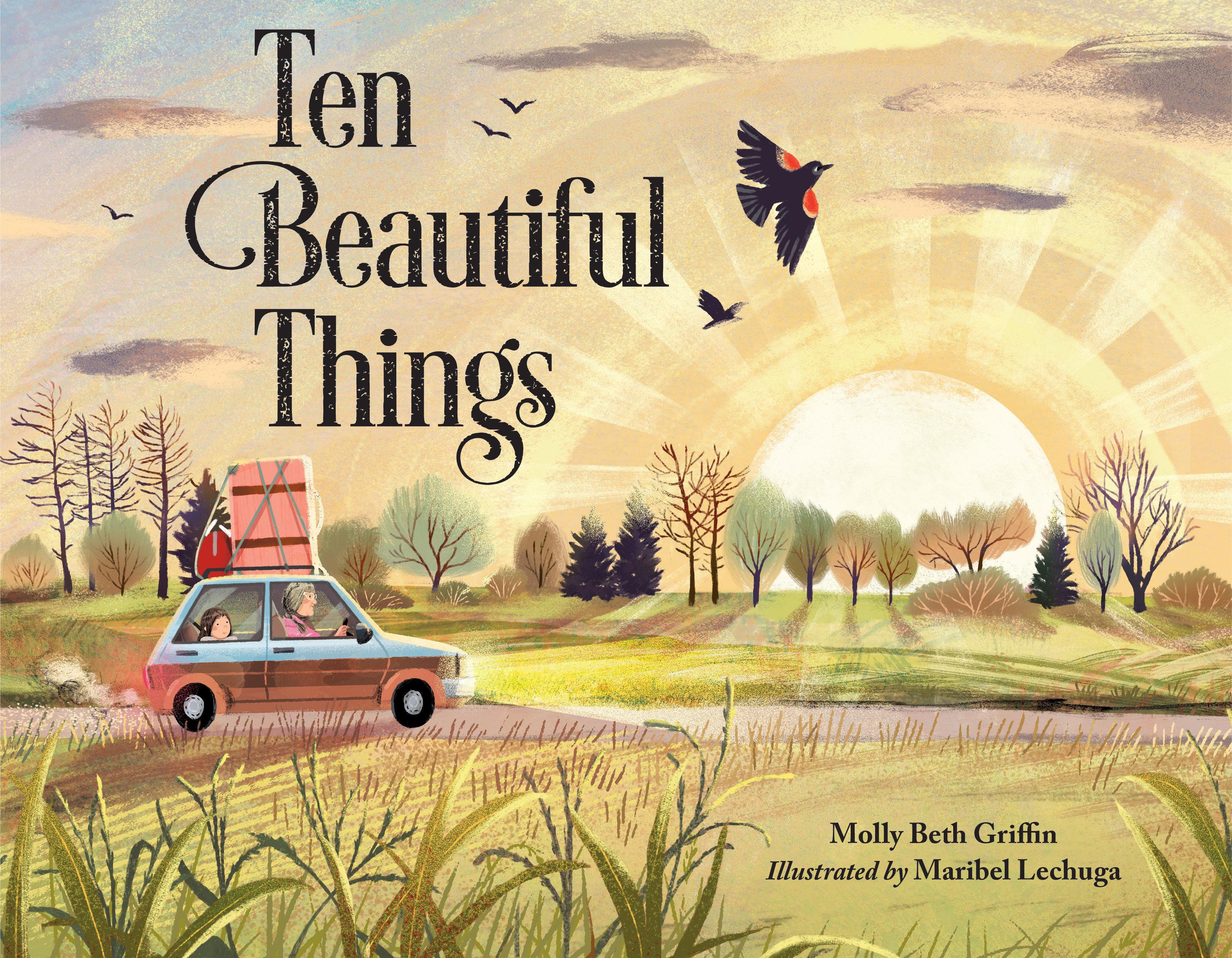 Vorderes Coverbild Ten Beautiful Things