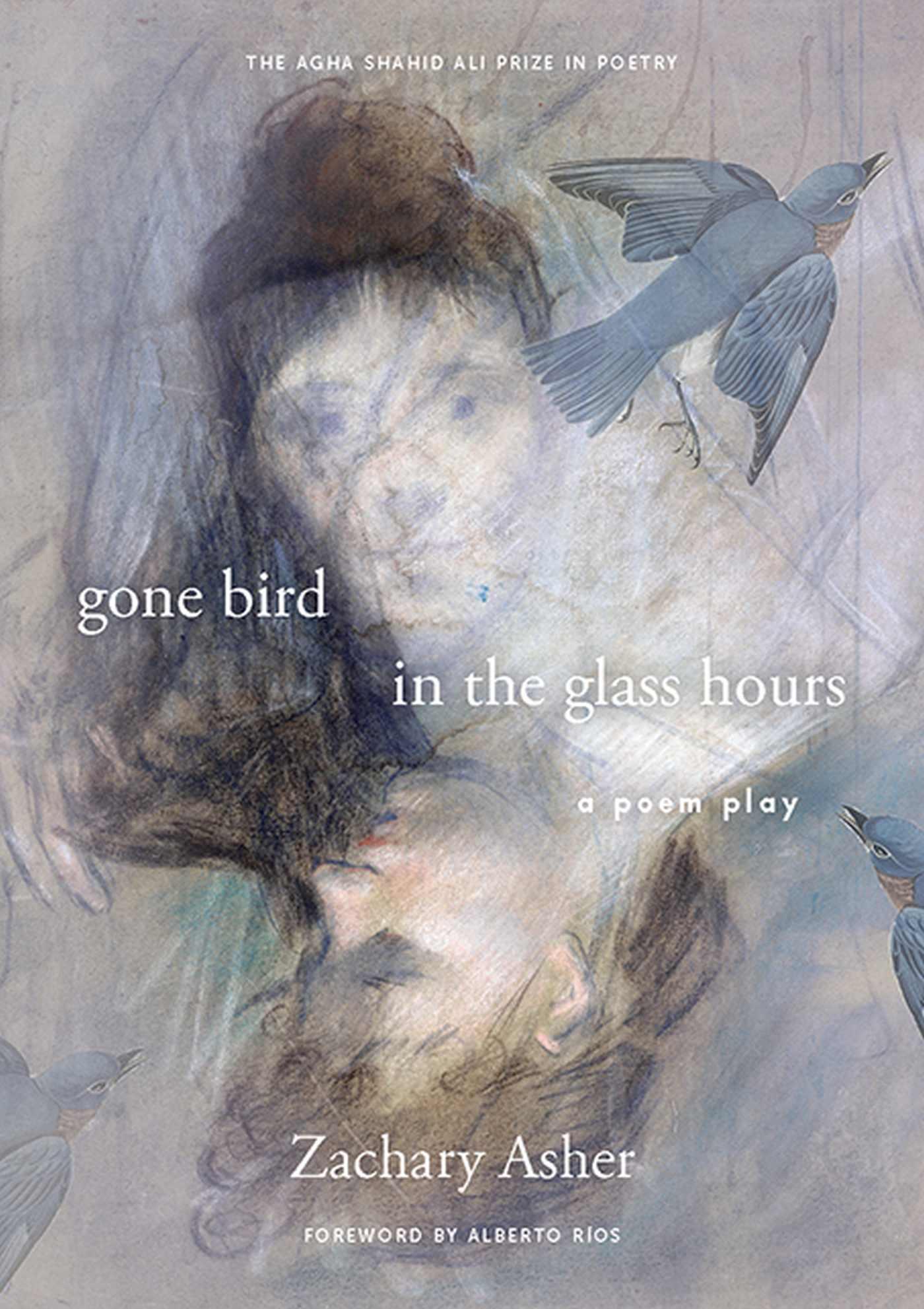 Vorderes Coverbild Gone Bird in the Glass Hours: A Poem Play