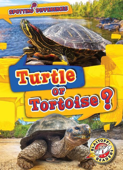 Vorderes Coverbild Turtle or Tortoise?