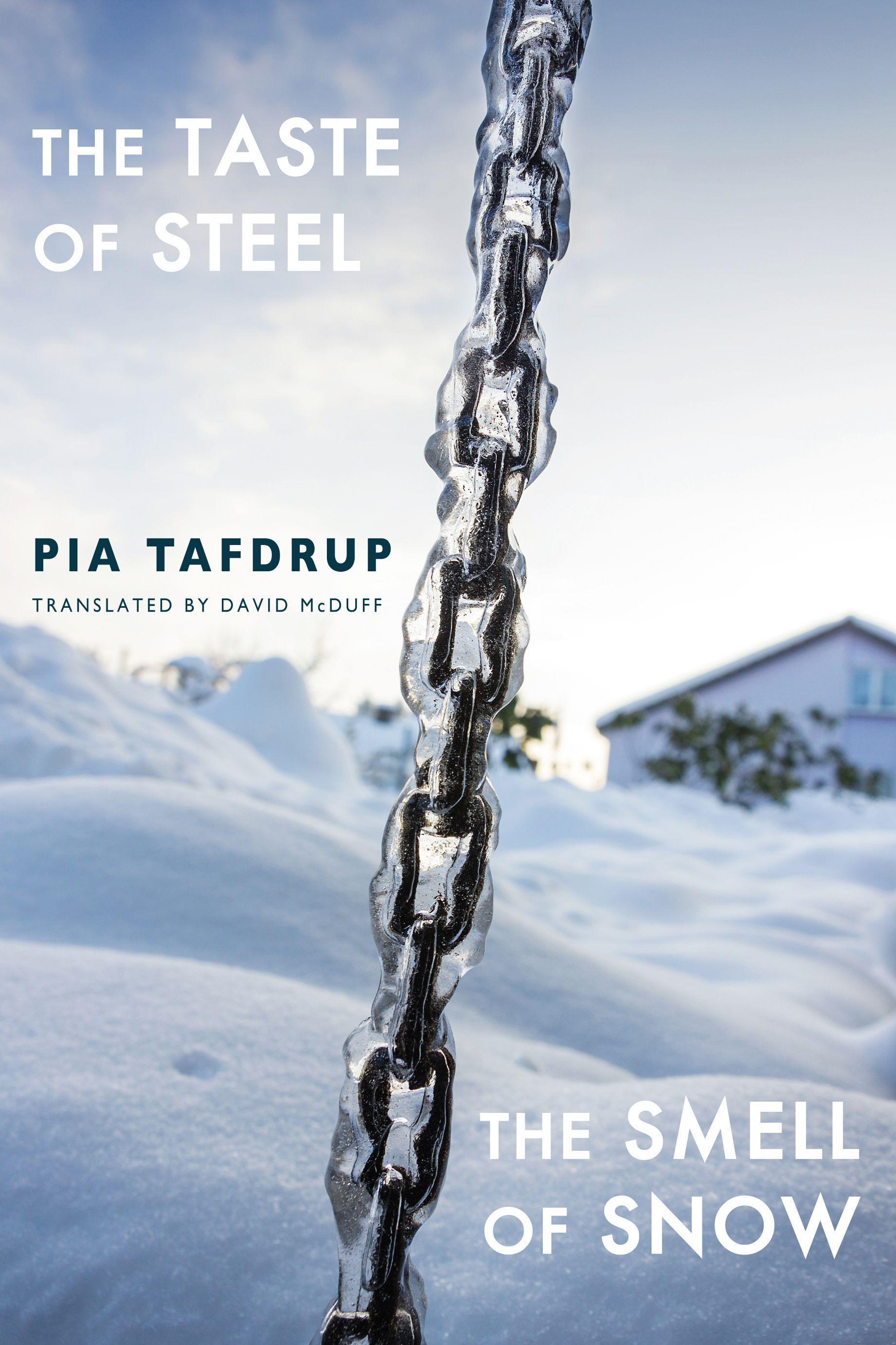 Vorderes Coverbild The Taste of Steel ¿ The Smell of Snow