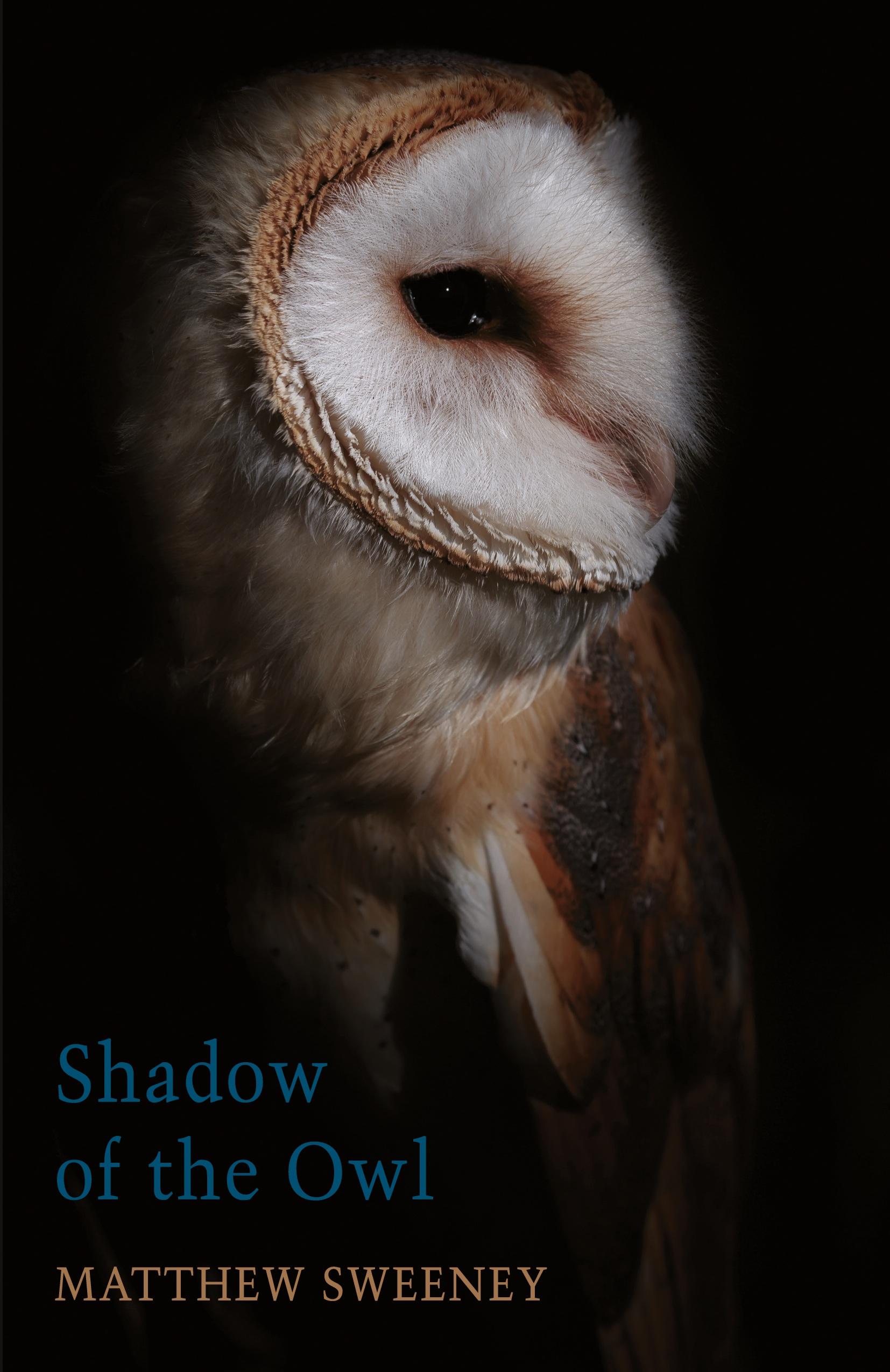 Vorderes Coverbild Shadow of the Owl