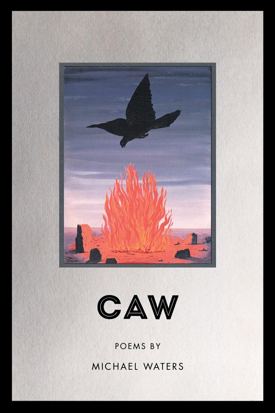 Vorderes Coverbild Caw