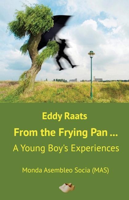 Vorderes Coverbild From the Frying Pan...: A Young Boy's Experiences