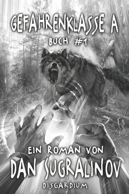 Vorderes Coverbild Gefahrenklasse A (Disgardium Buch #1): LitRPG-Serie
