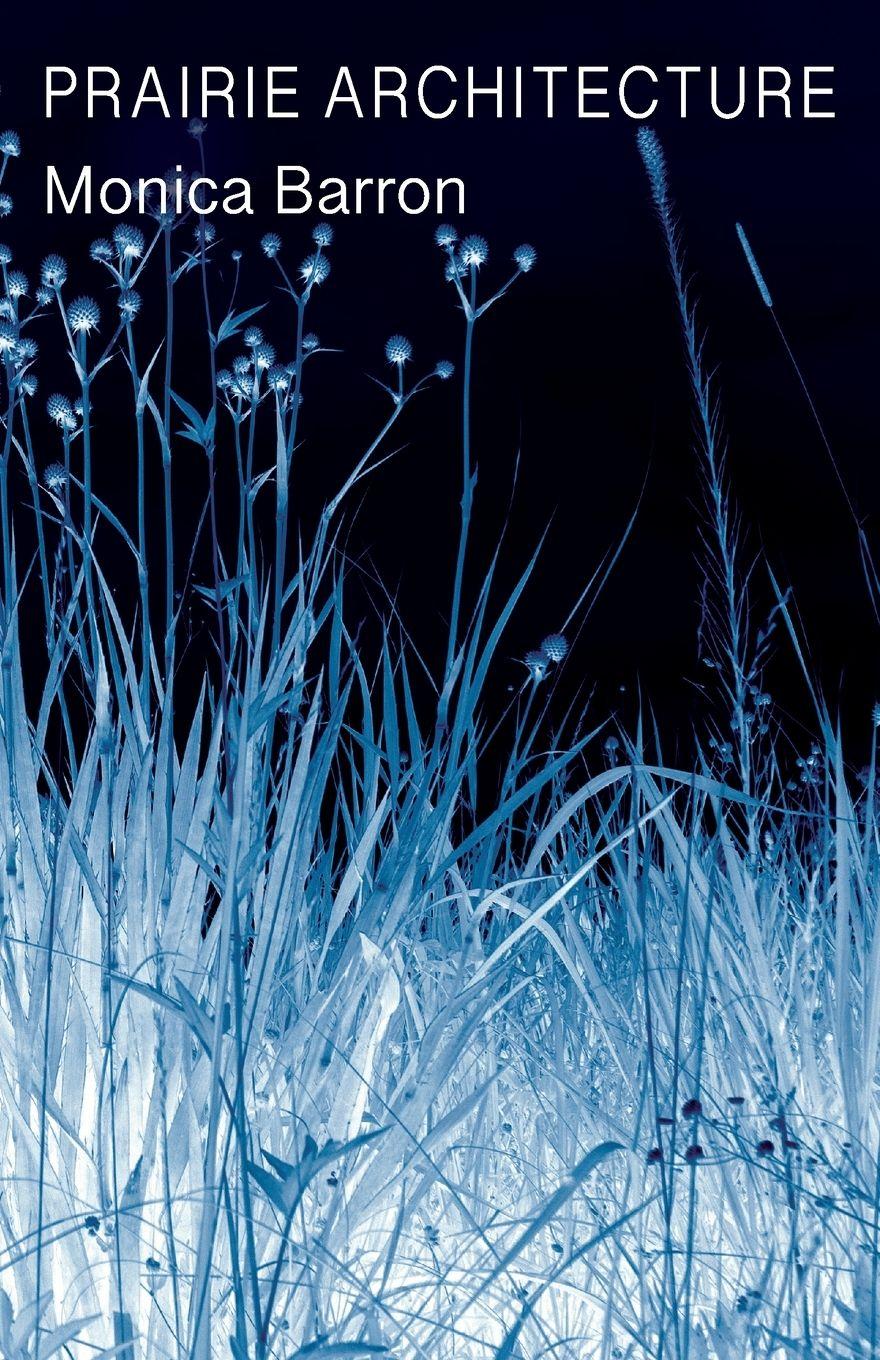 Vorderes Coverbild Prairie Architecture