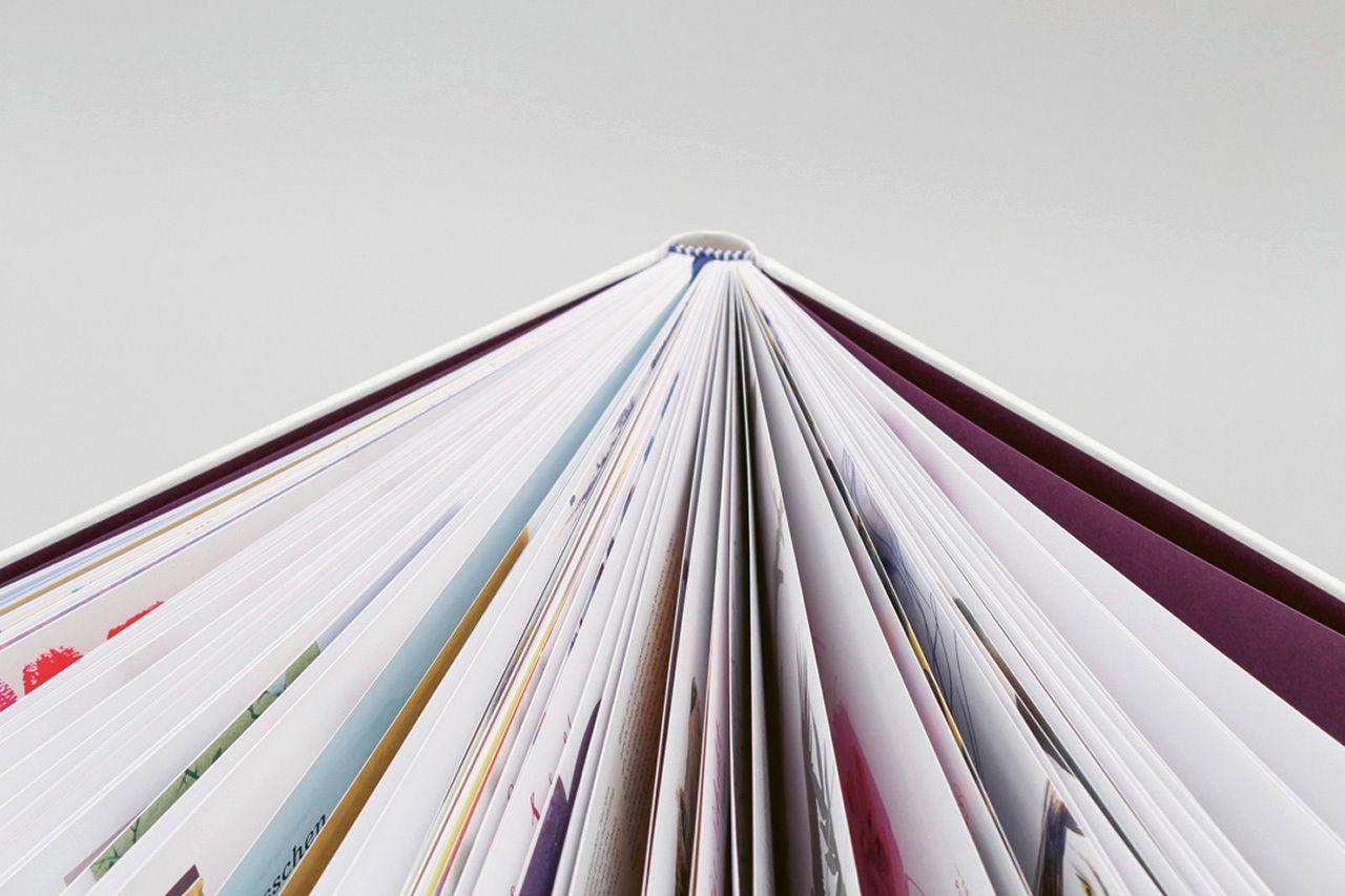 Beispielinhalt (Bild) Multitalent Gouache