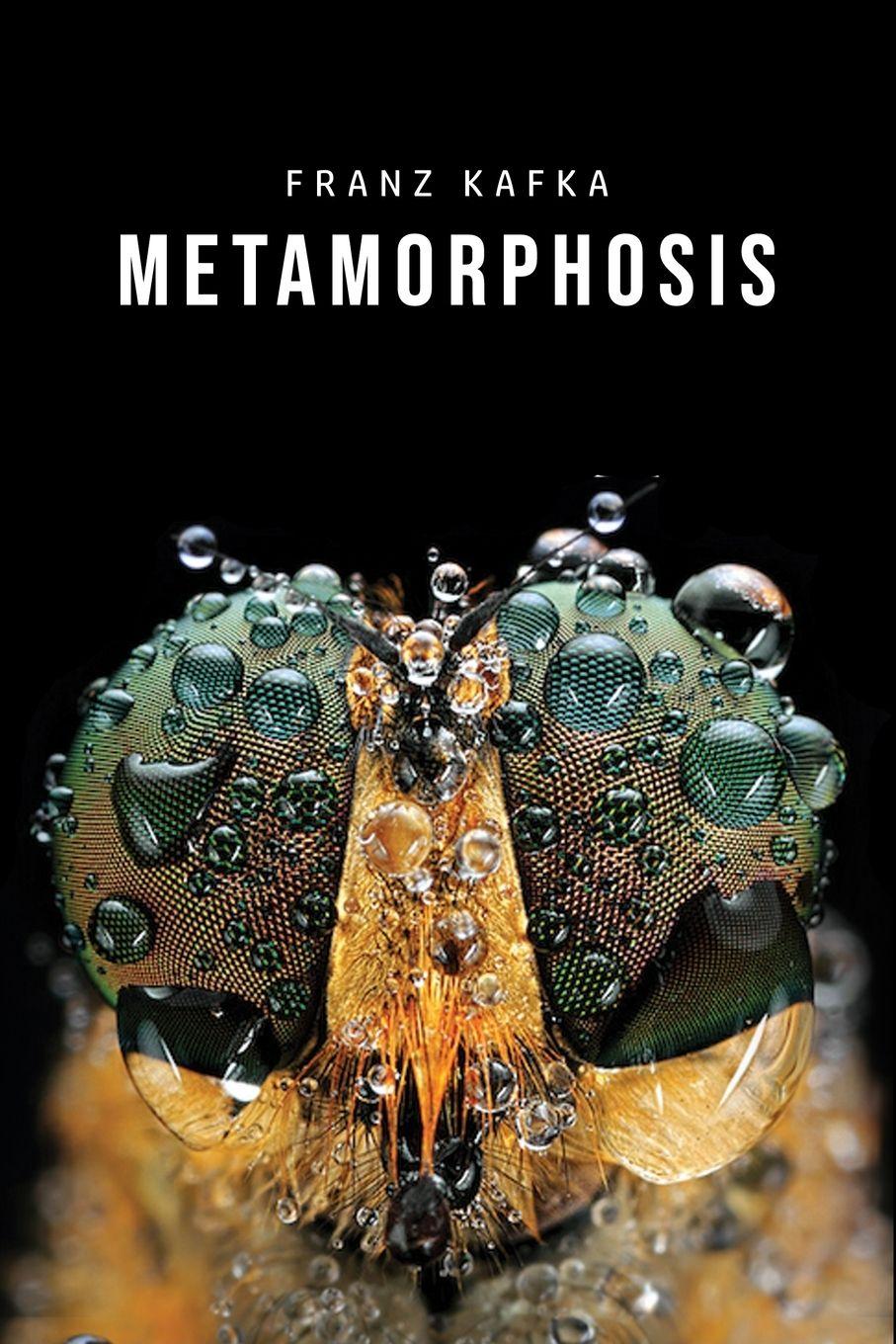 Vorderes Coverbild Metamorphosis