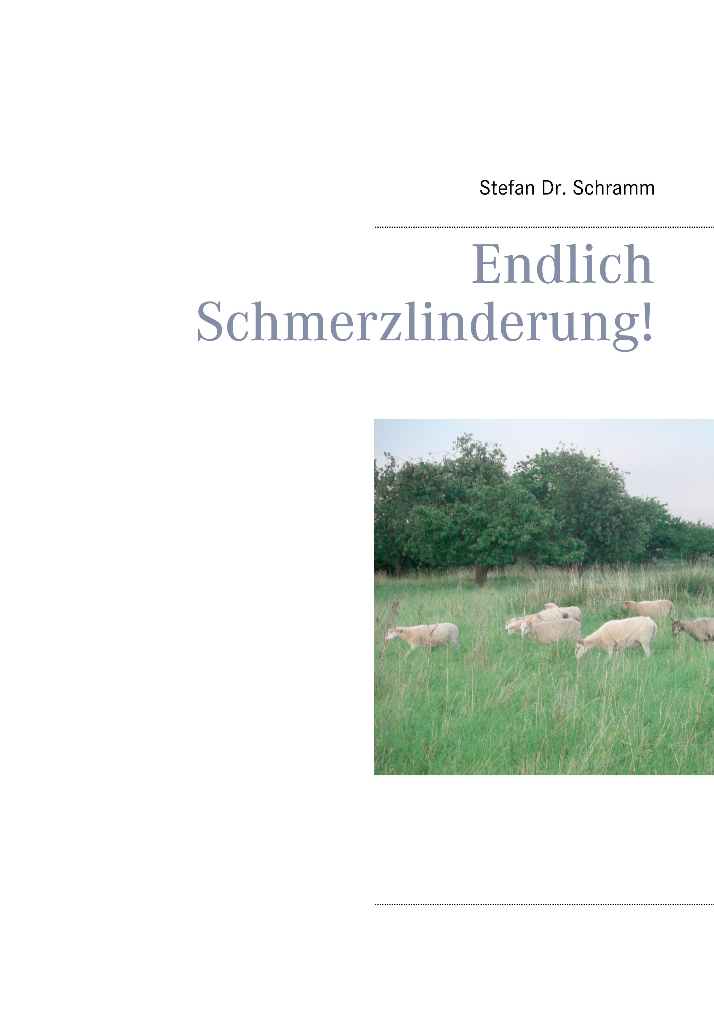 Vorderes Coverbild Endlich Schmerzlinderung!