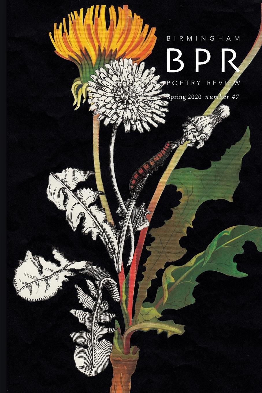 Vorderes Coverbild Birmingham Poetry Review