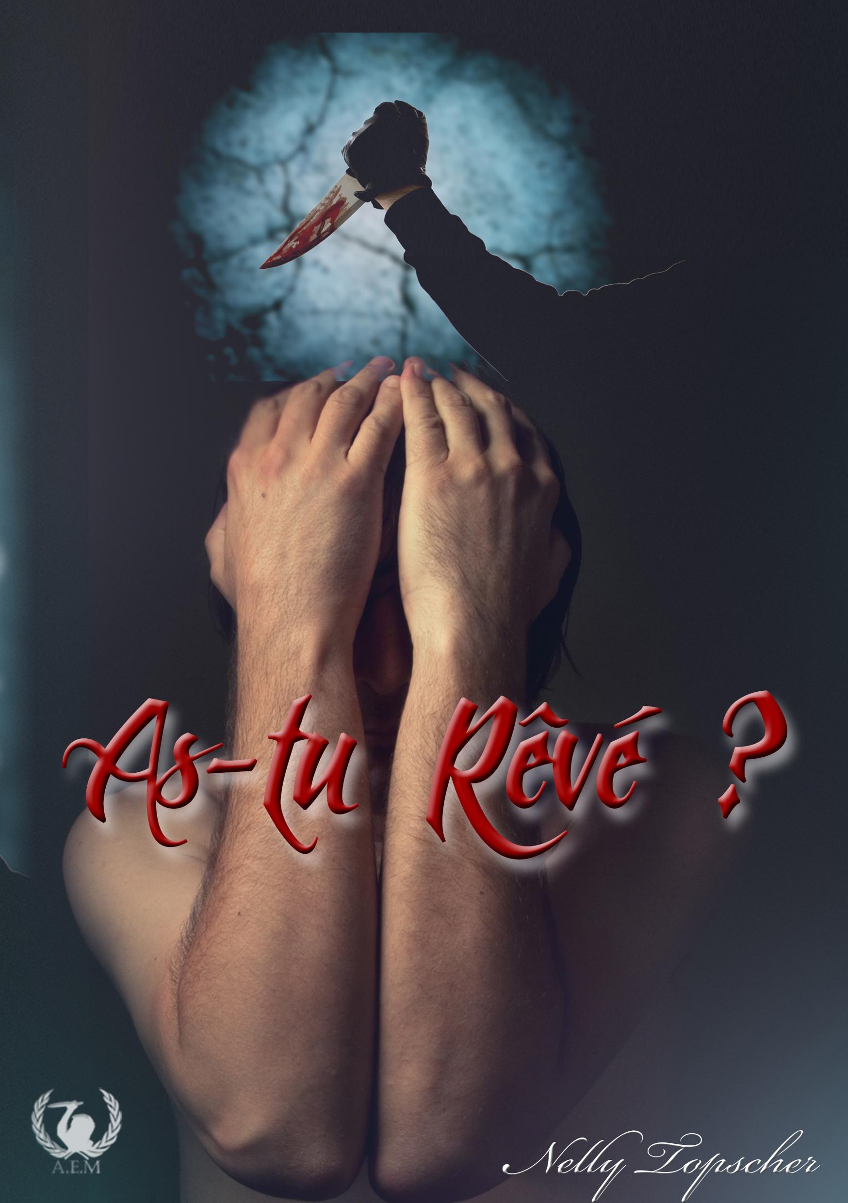 Vorderes Coverbild As-tu rêvé?